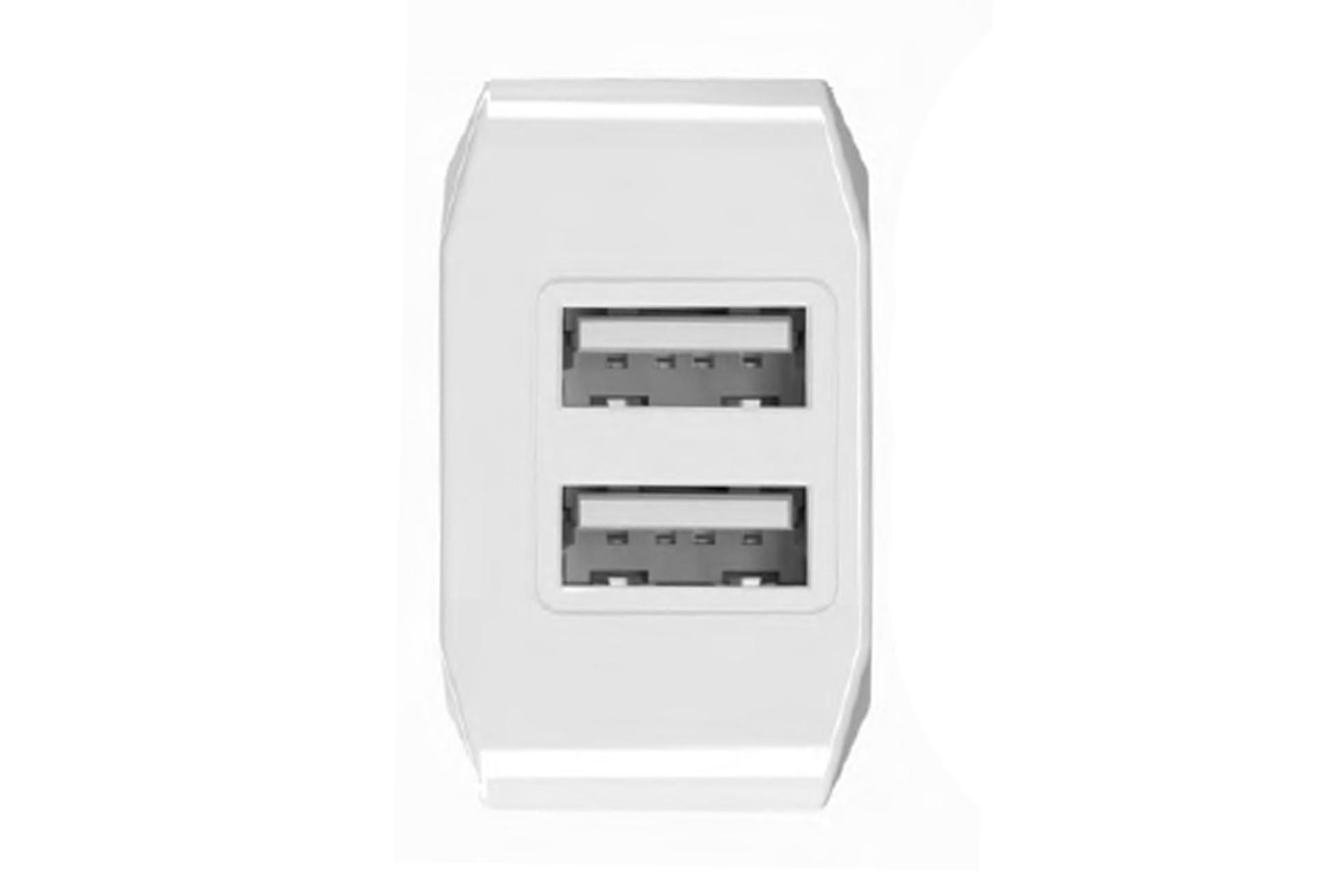 نمای پورت های شارژر دیواری تندرا مدل-Tundra T20-10W