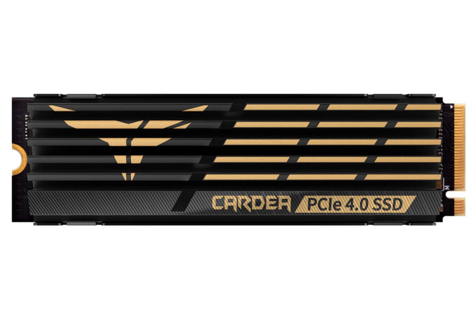 ابعاد و اندازه اس اس دی تیم گروپ T-Force CARDEA A440 NVMe M.2