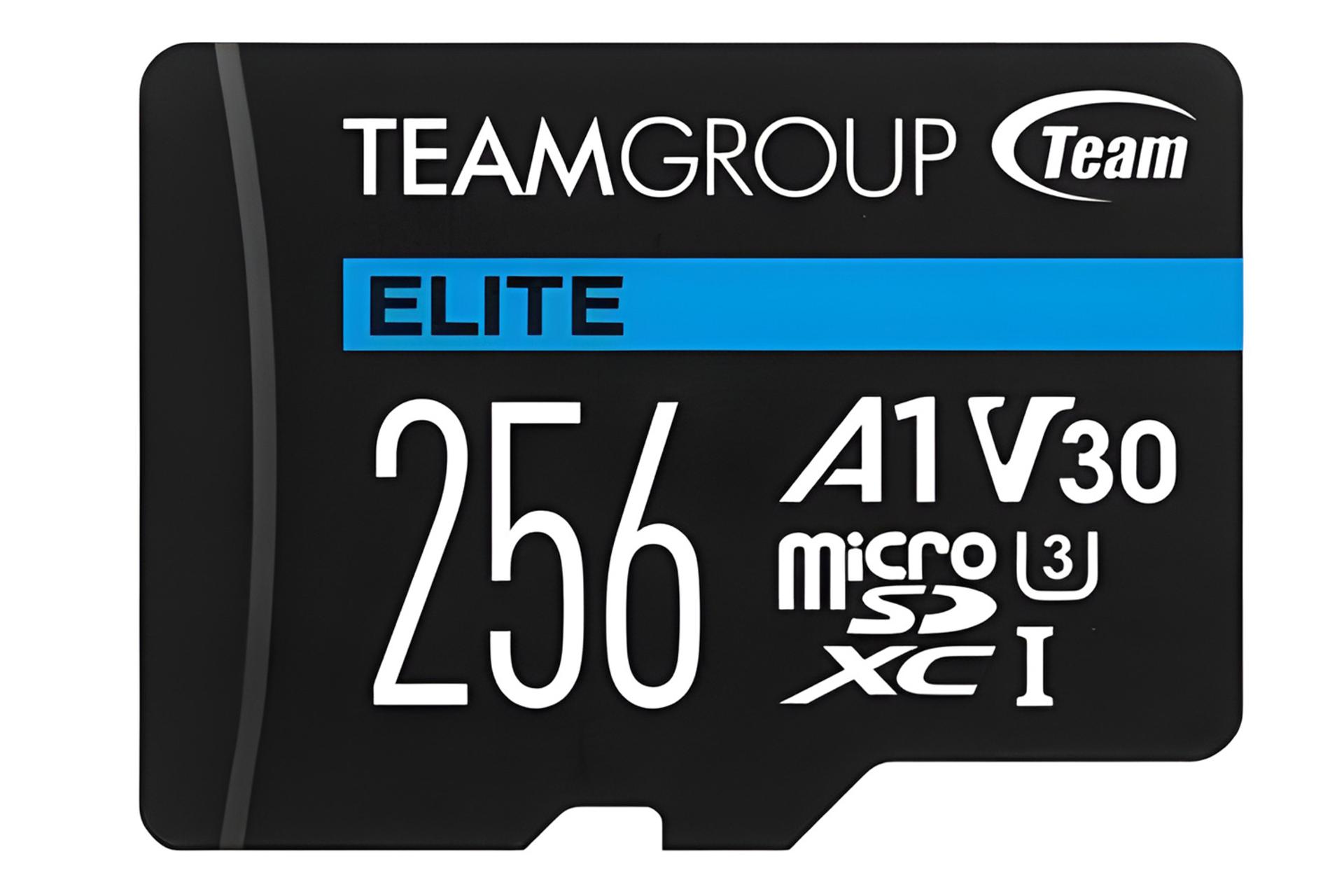 کارت حافظه تیم گروپ TEAMGROUP Elite V30 A1 microSDXC Class 10 UHS-I U3 256GB