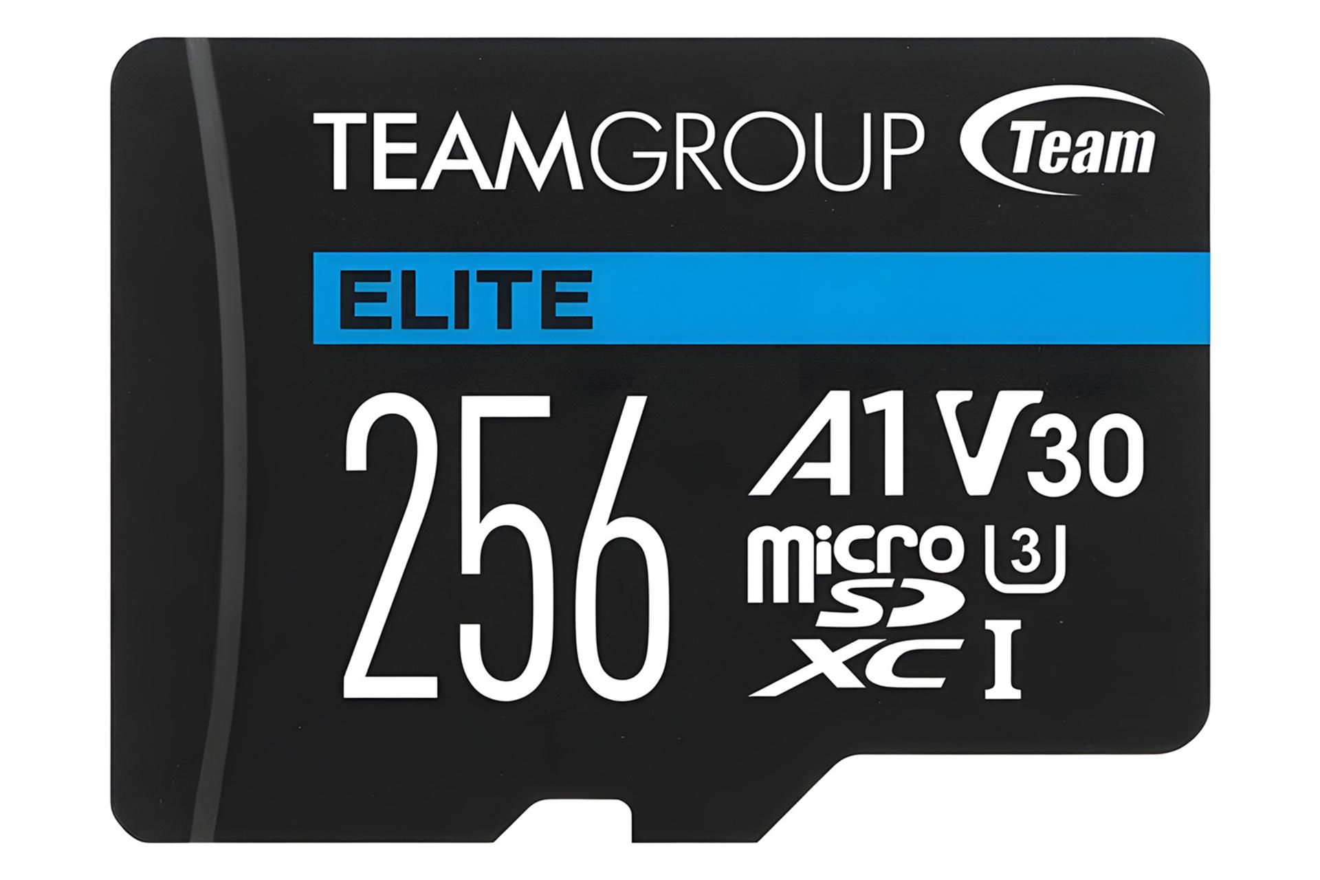 کارت حافظه تیم گروپ TEAMGROUP Elite microSDXC Class 10 UHS-I U3 256GB