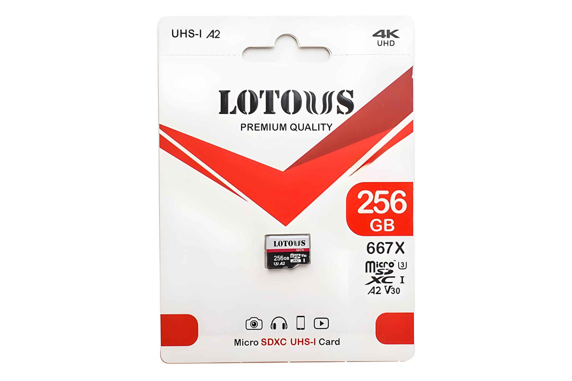 جعبه کارت حافظه لوتوس Lotous 667X microSDXC Class 10 UHS-I U3 256GB