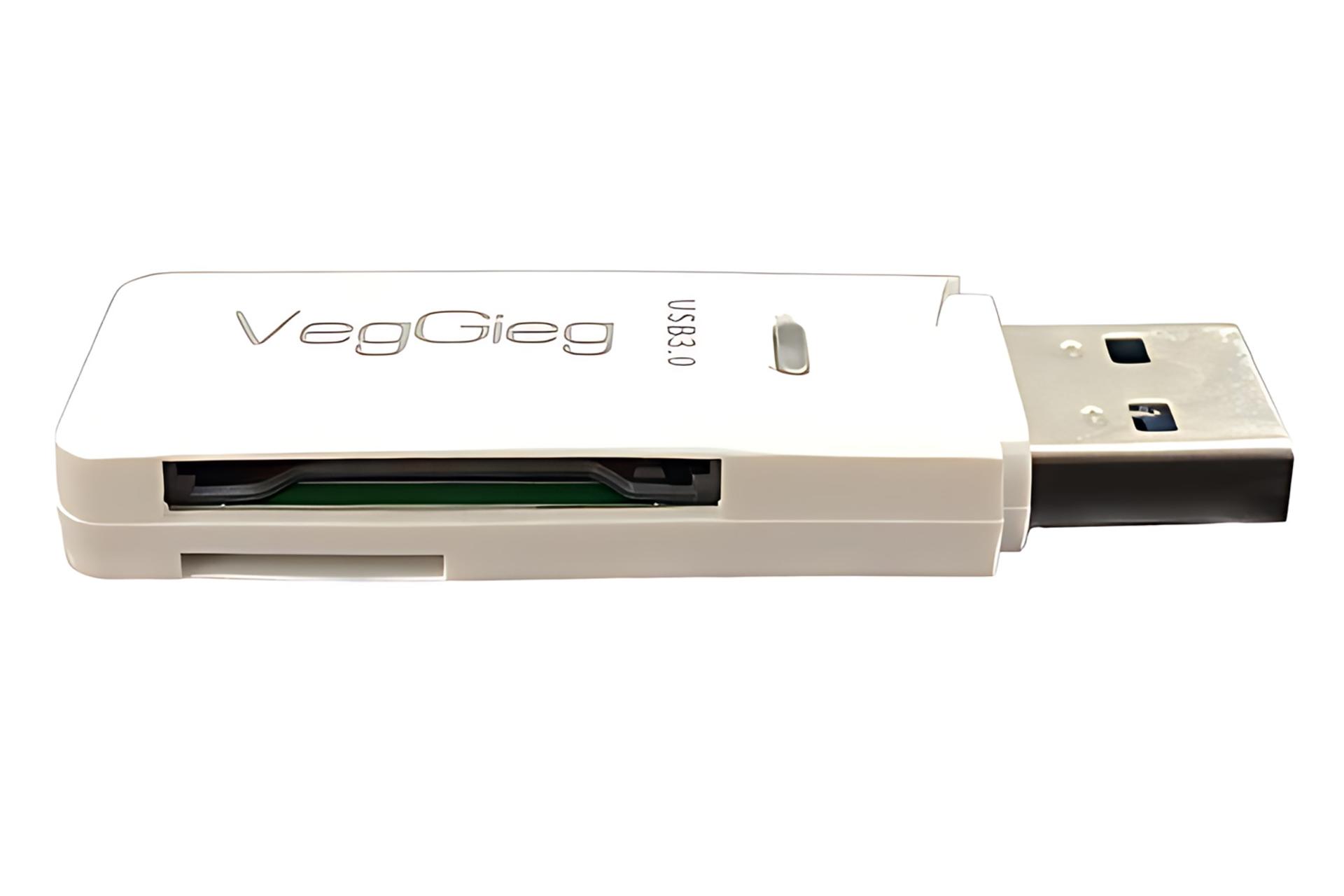 درگاه های کارت خوان وگیگ VegGieg  V-C304