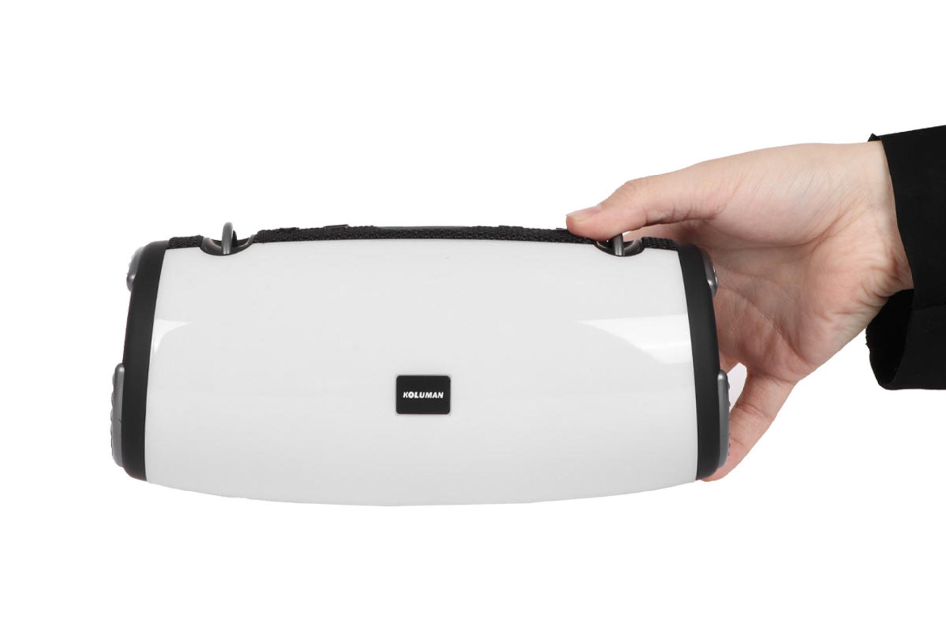 ابعاد و اندازه اسپیکر کلومن K-S155