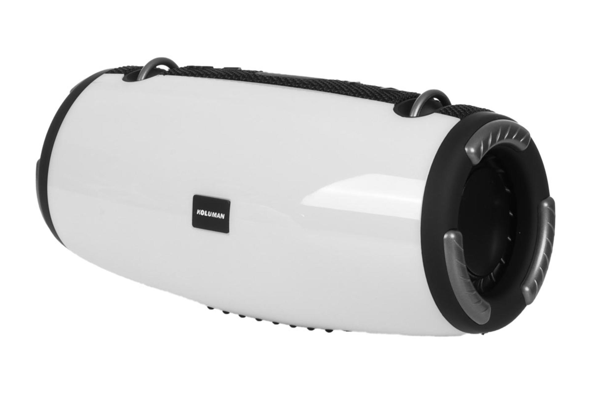 قدرت و توان اسپیکر کلومن K-S155