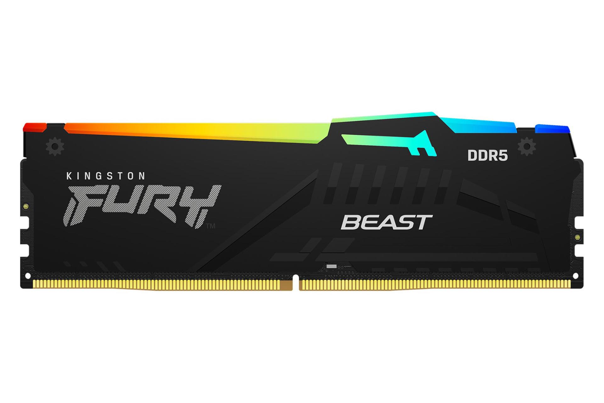 رم کینگستون Kingston FURY Beast RGB 16GB DDR5-5200 CL40