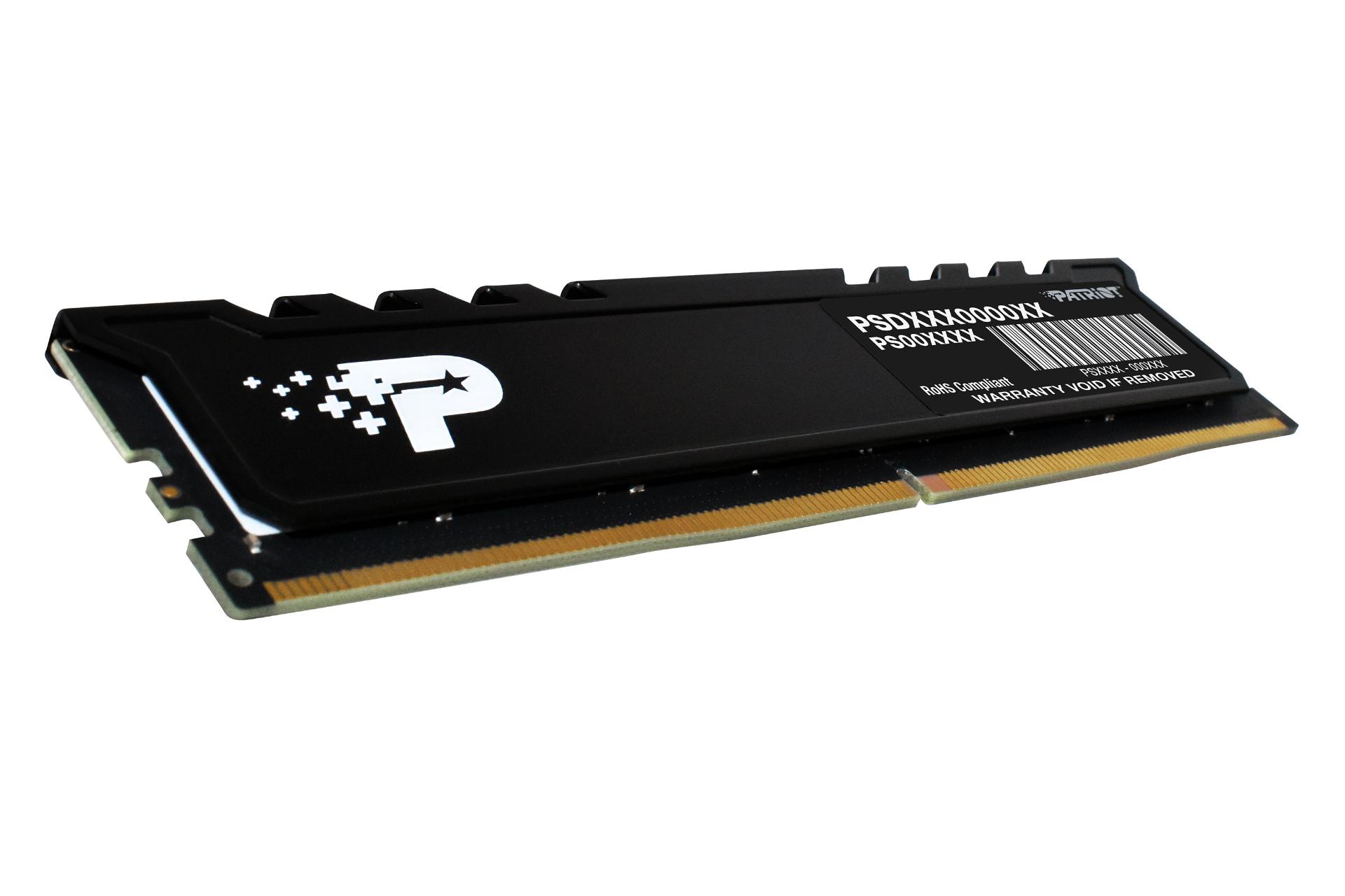 نمای کناری رم پاتریوت Patriot Signature Line Premium 8GB DDR5-4800 CL40