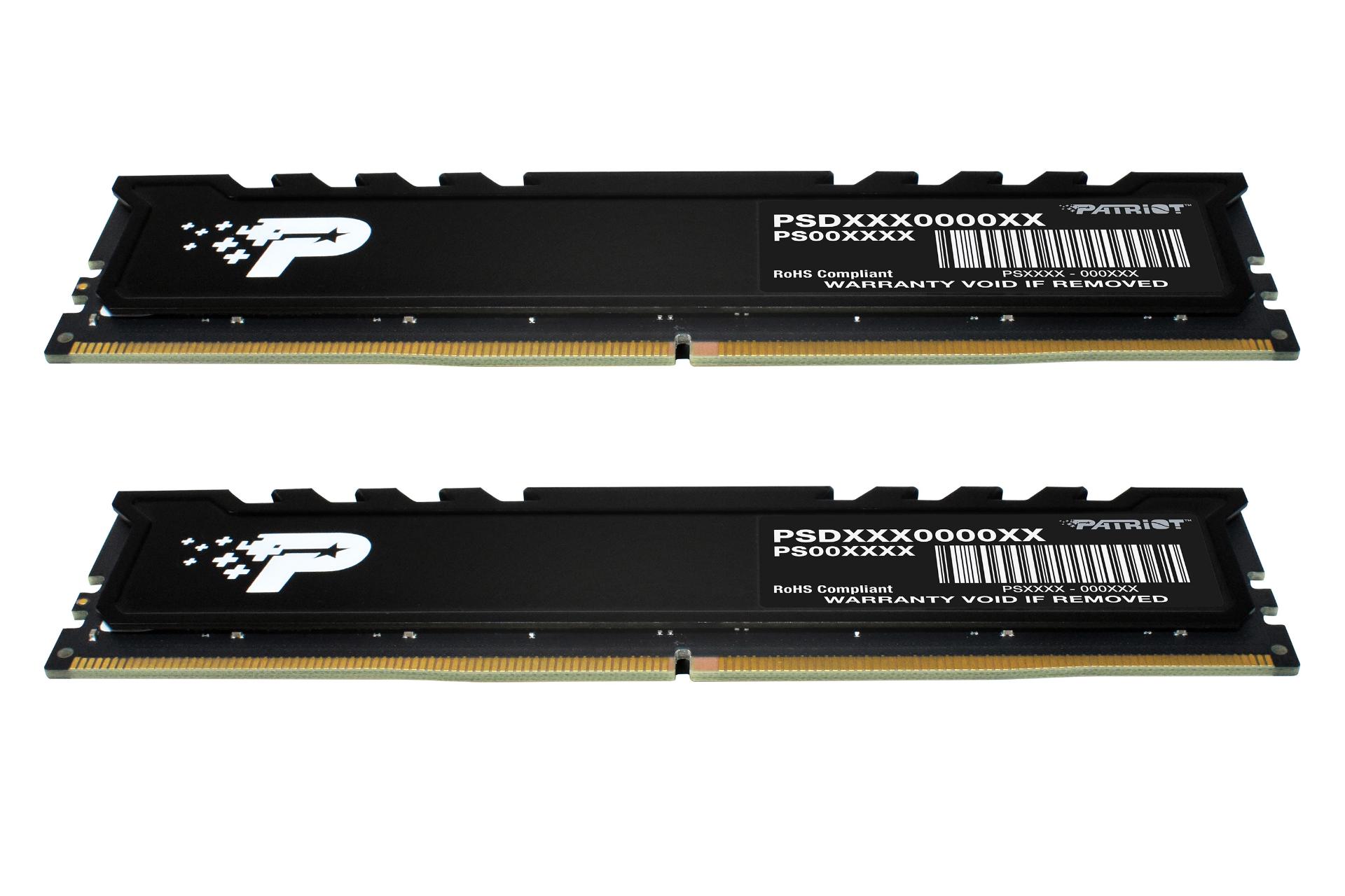 نمای کناری رم پاتریوت Patriot Signature Line Premium 16GB (2x8) DDR5-4800 CL40