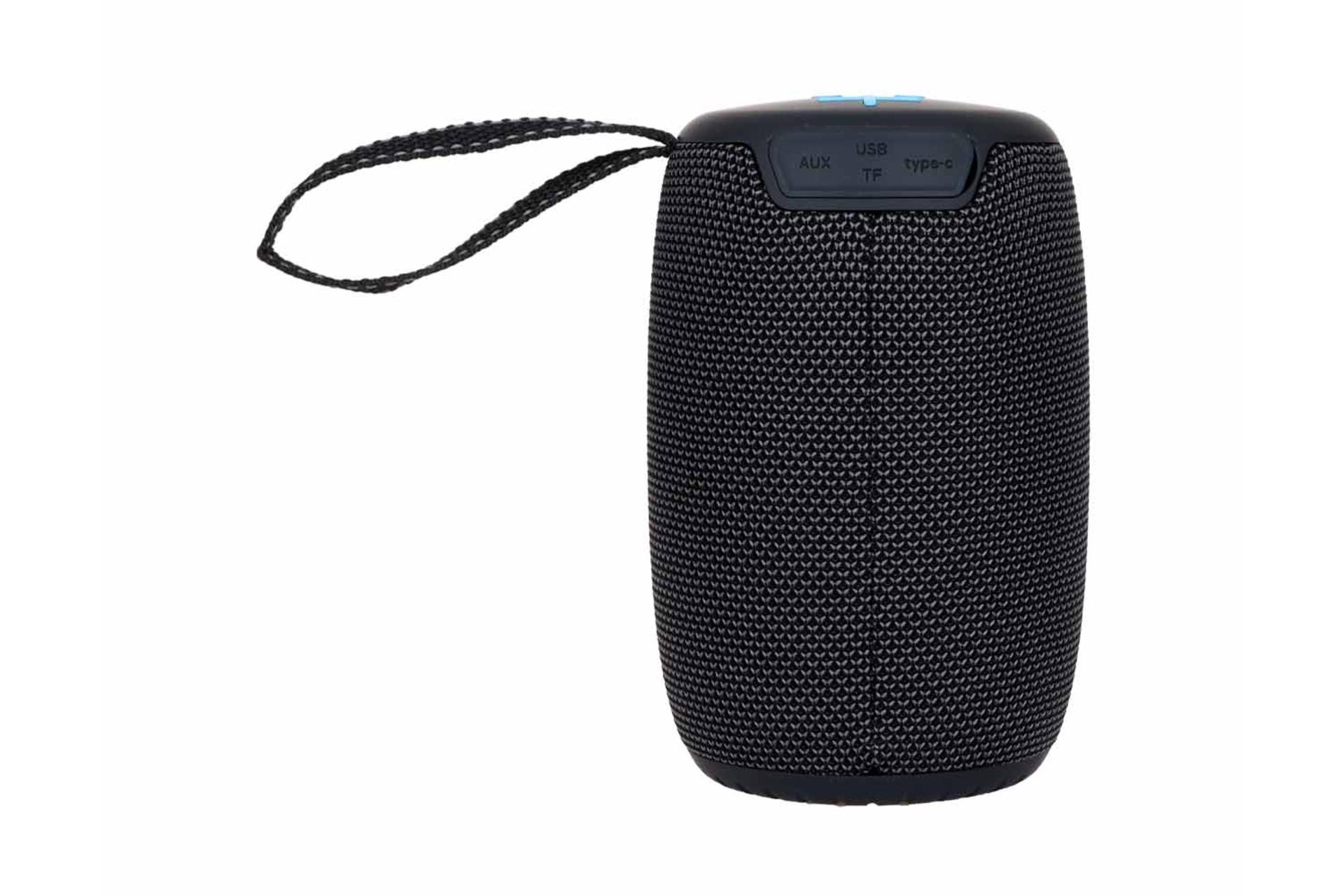 نمای پشت و بدنه اسپیکر ترانیو T-BS34