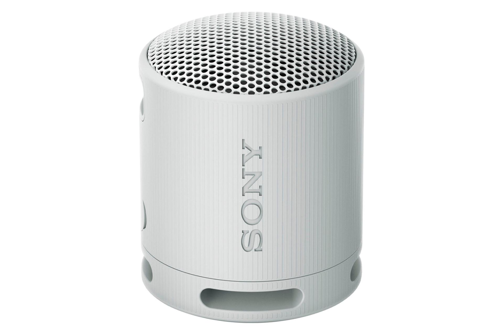 مرجع متخصصين ايران اسپيكر سوني SRS-XB100 رنگ خاكستري