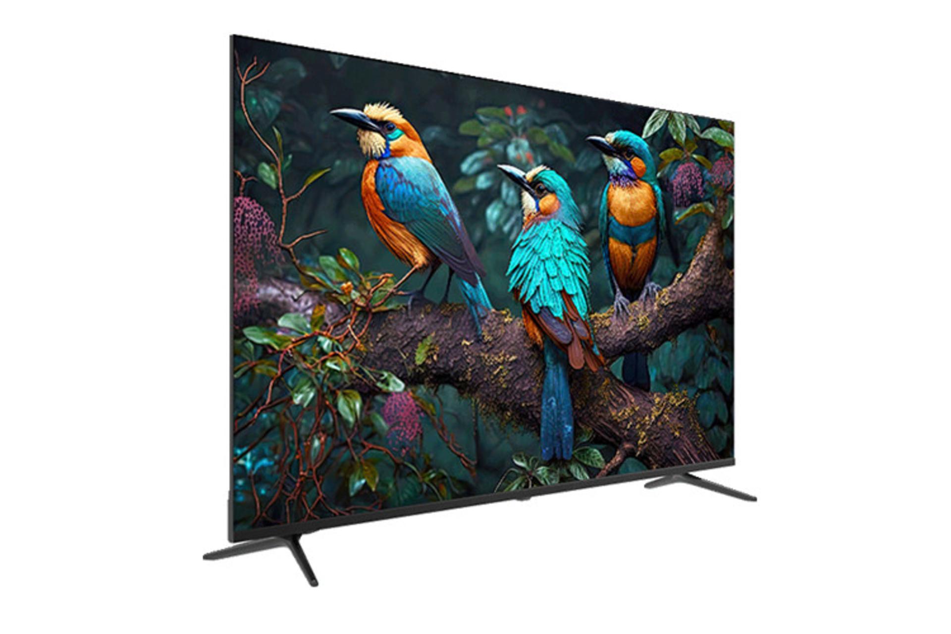 تلویزیون ایکس ویژن X.Vision XCU665 نمای جلو و چپ
