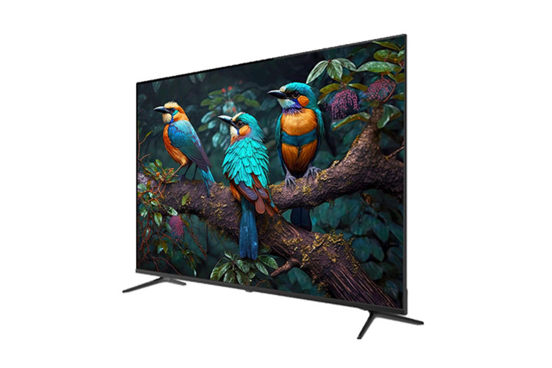 تلویزیون ایکس ویژن X.Vision XCU665 نمای جلو و راست
