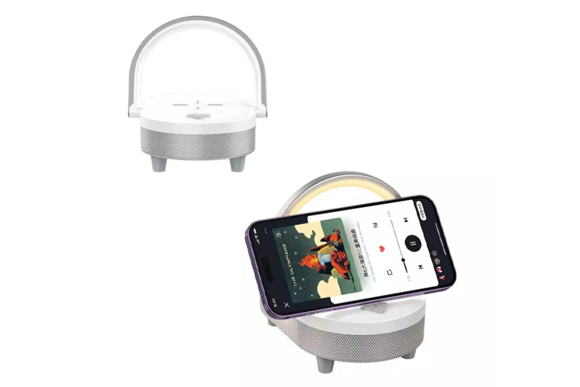 شارژدهی اسپیکر رسی RLS-L16