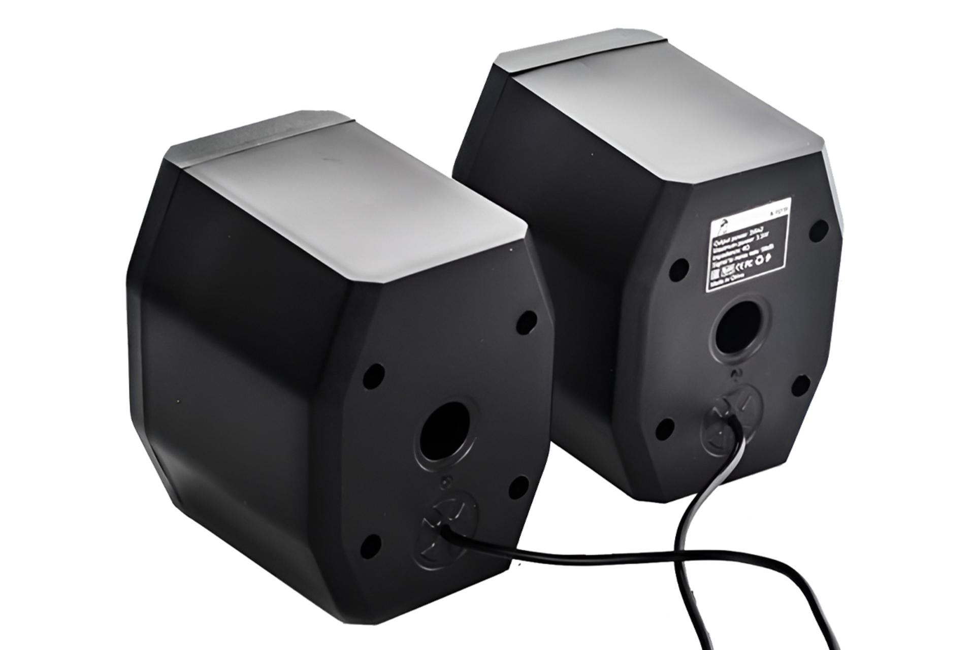 نمای پشت و بدنه اسپیکر پی نت A-101S