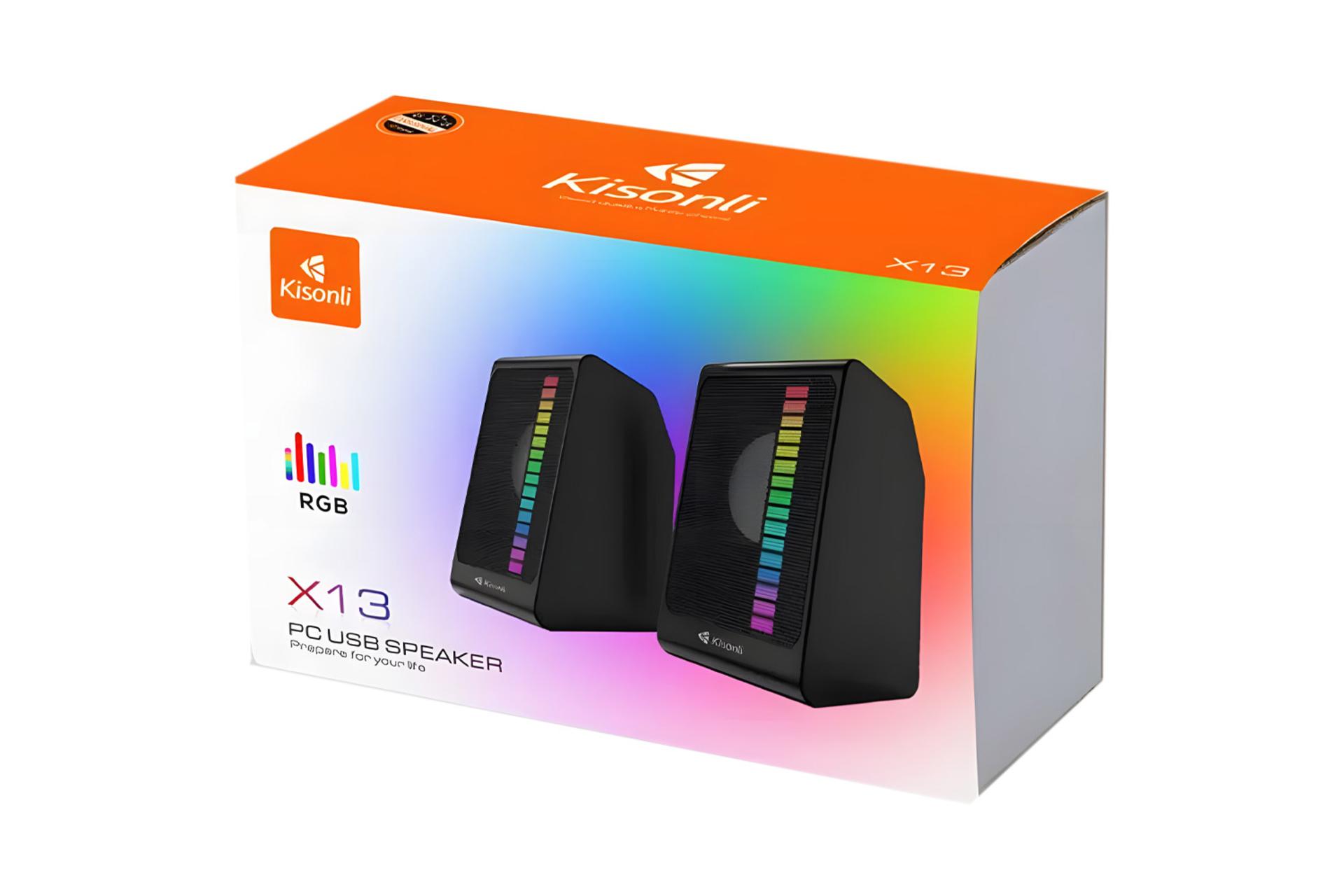 جعبه اسپیکر کیسونلی X13