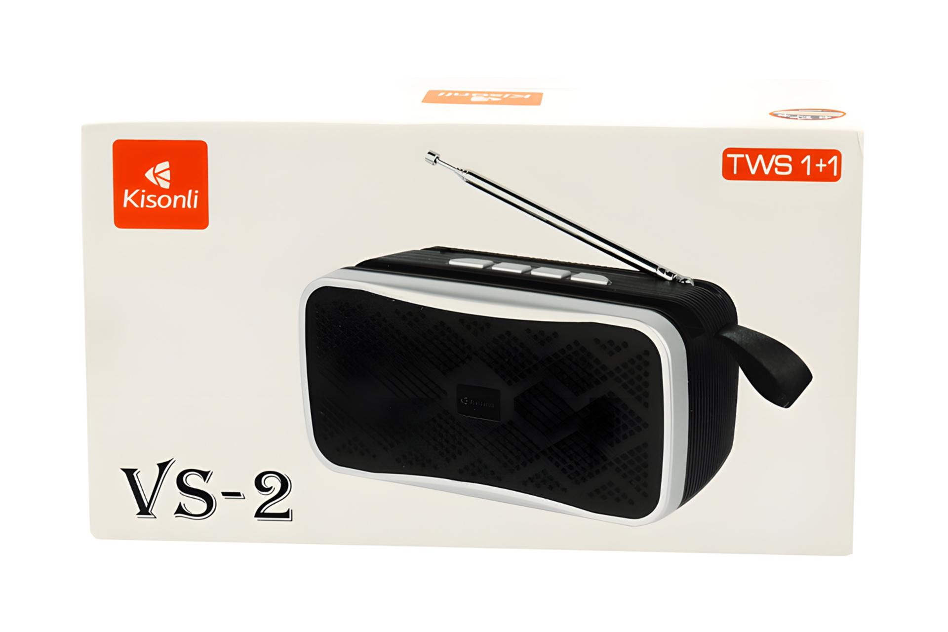 جعبه اسپیکر کیسونلی VS-2