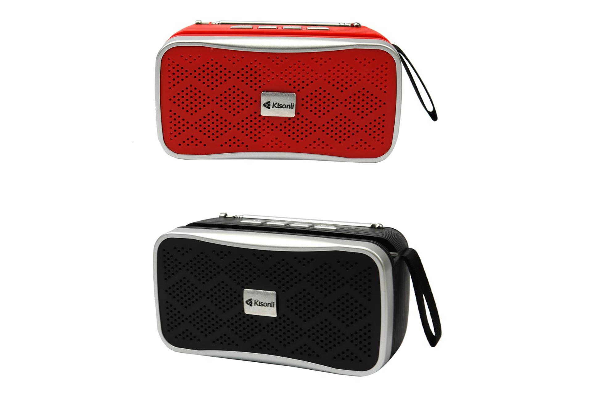 رنگ بندی اسپیکر کیسونلی VS-2