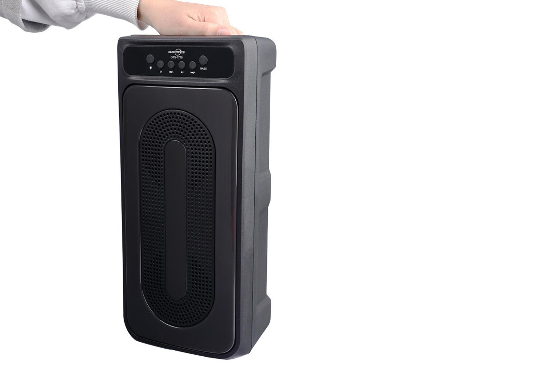 ابعاد و اندازه اسپیکر گریت نایس GTS-1770