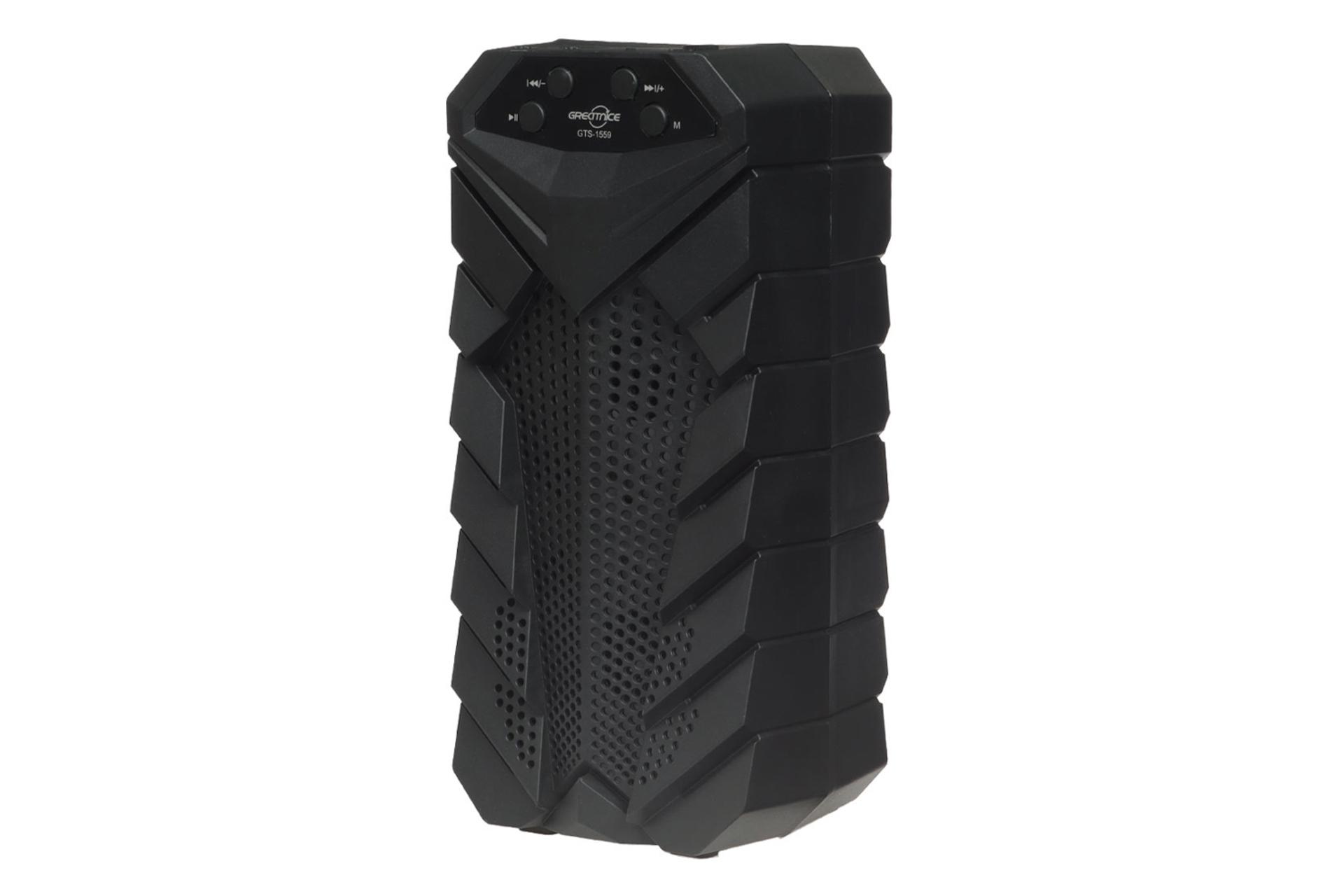 قدرت و توان اسپیکر گریت نایس GTS-1559