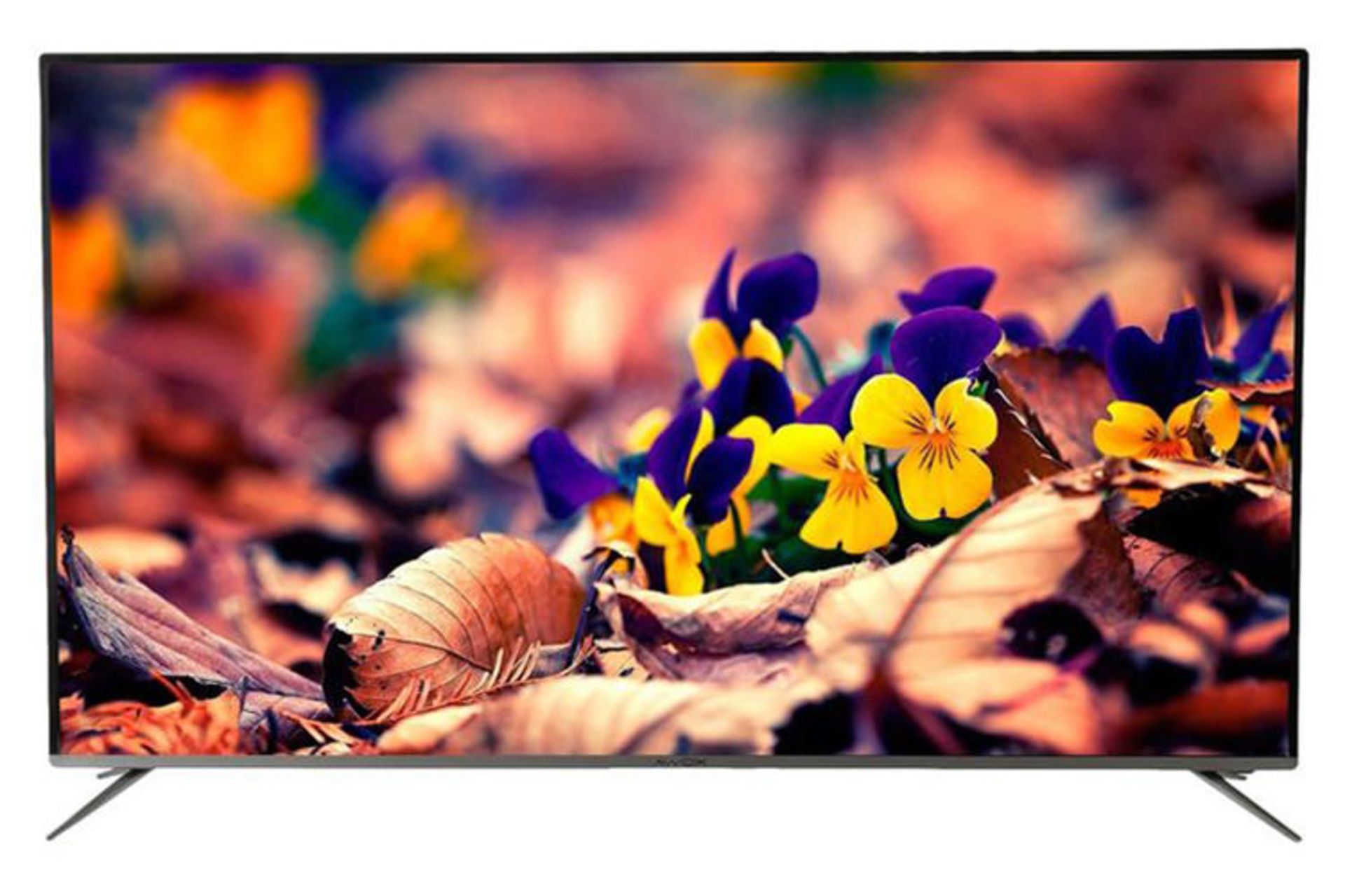 تلویزیون بلانتون Blanton BEW-TV6522 نمای جلو