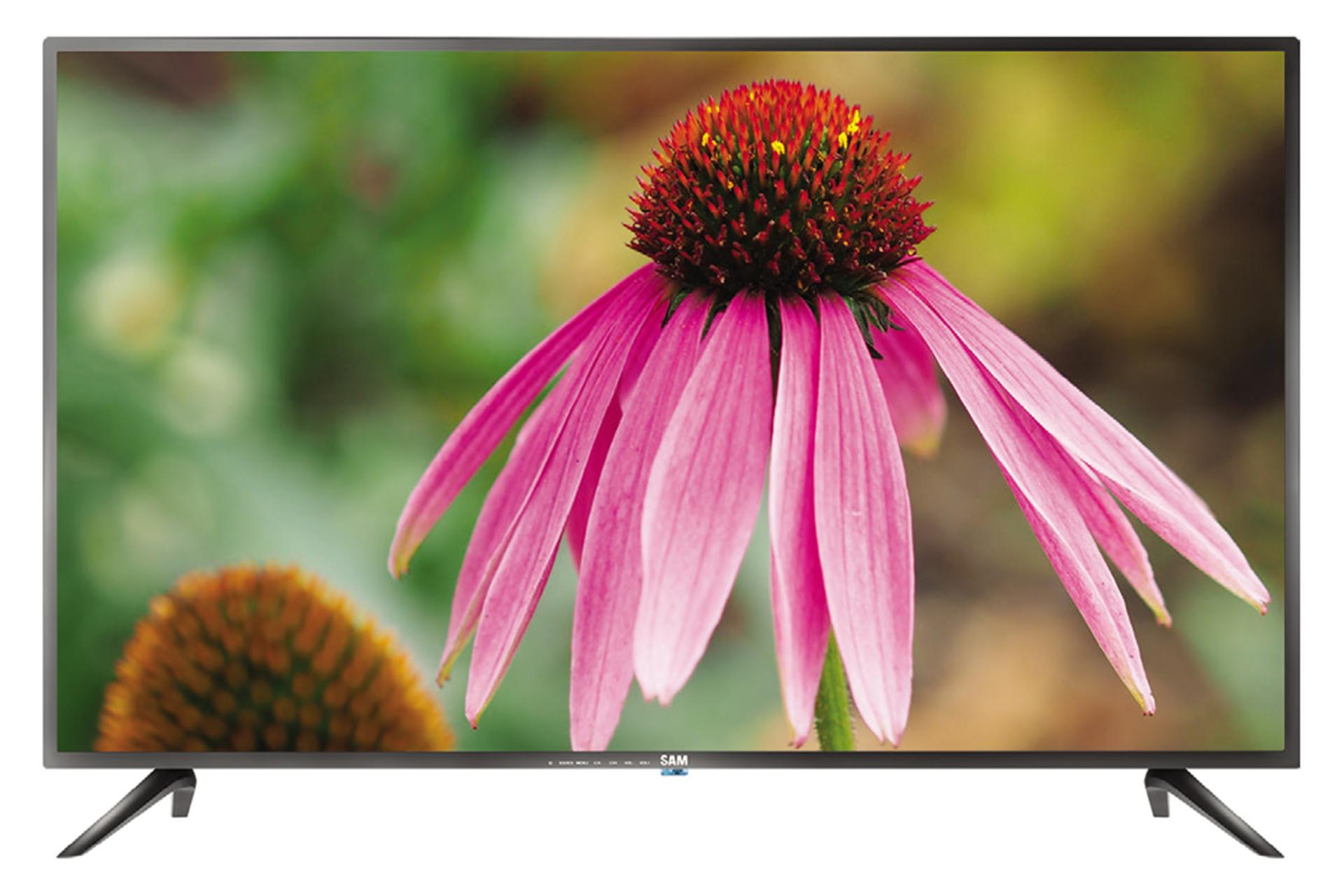 تلویزیون سام الکترونیک SAM Electronic 43C5850 نمای جلو