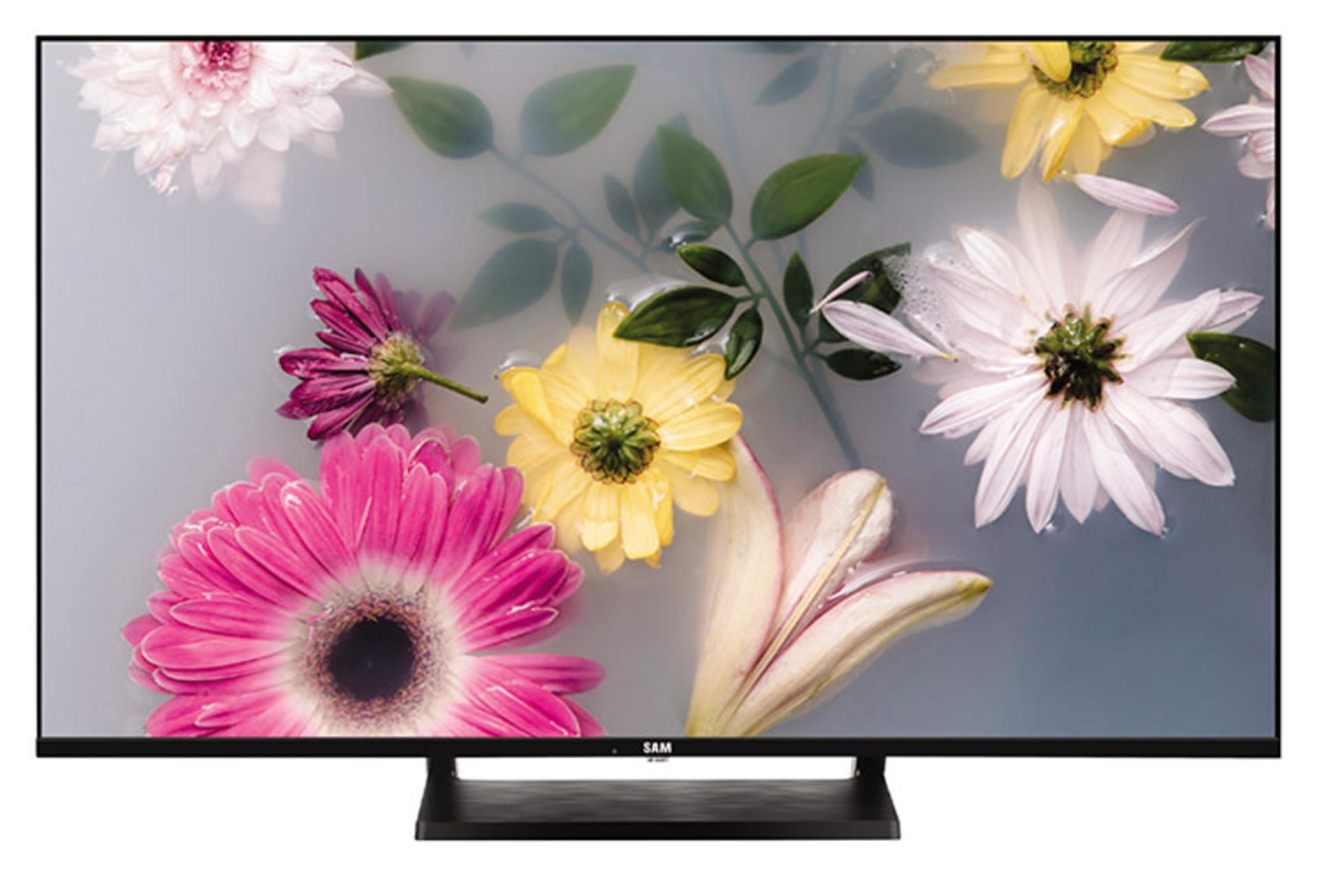 تلویزیون سام الکترونیک SAM Electronic 43D6500 نمای جلو