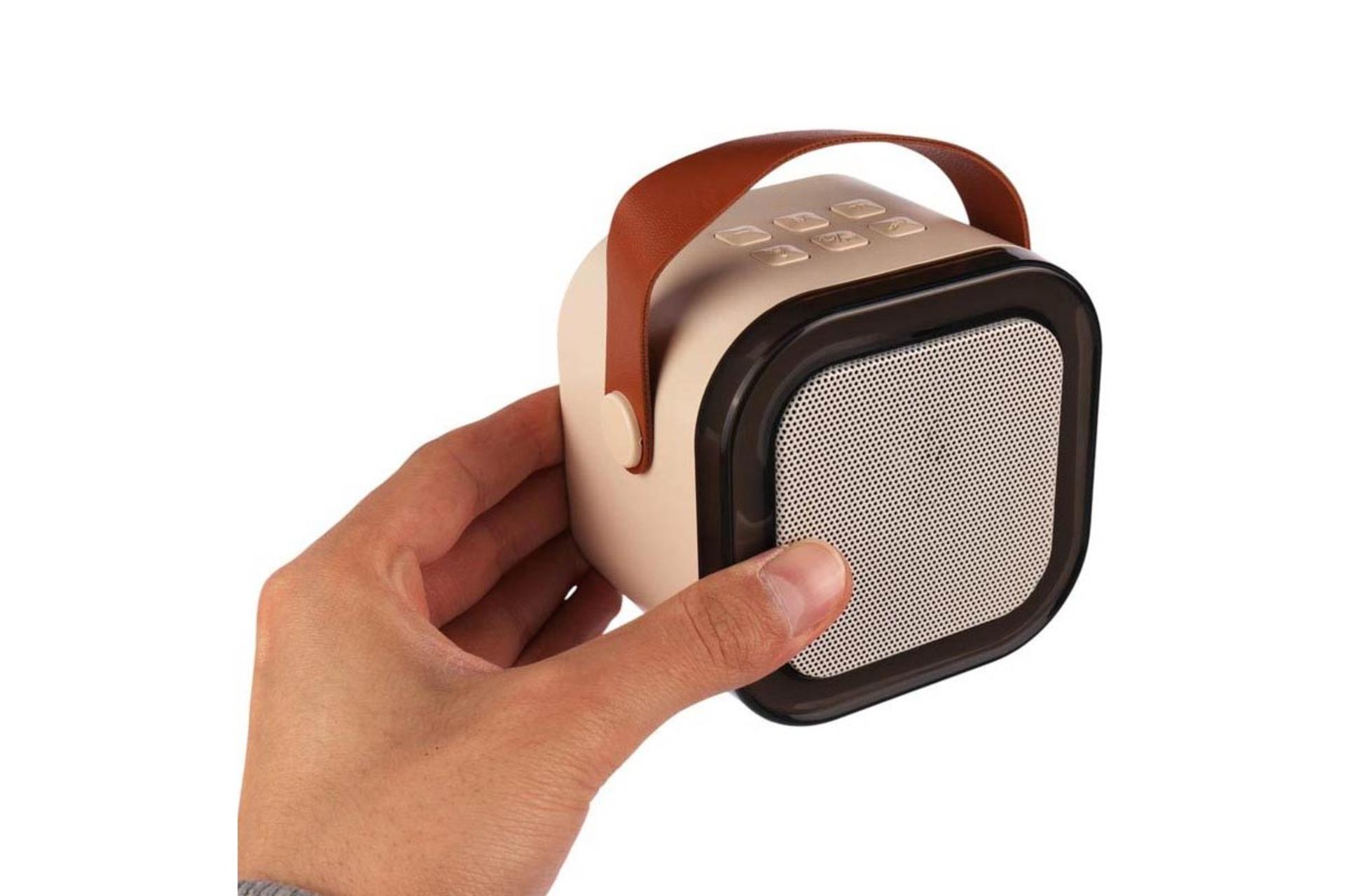 ابعاد و اندازه اسپیکر پی نت K12