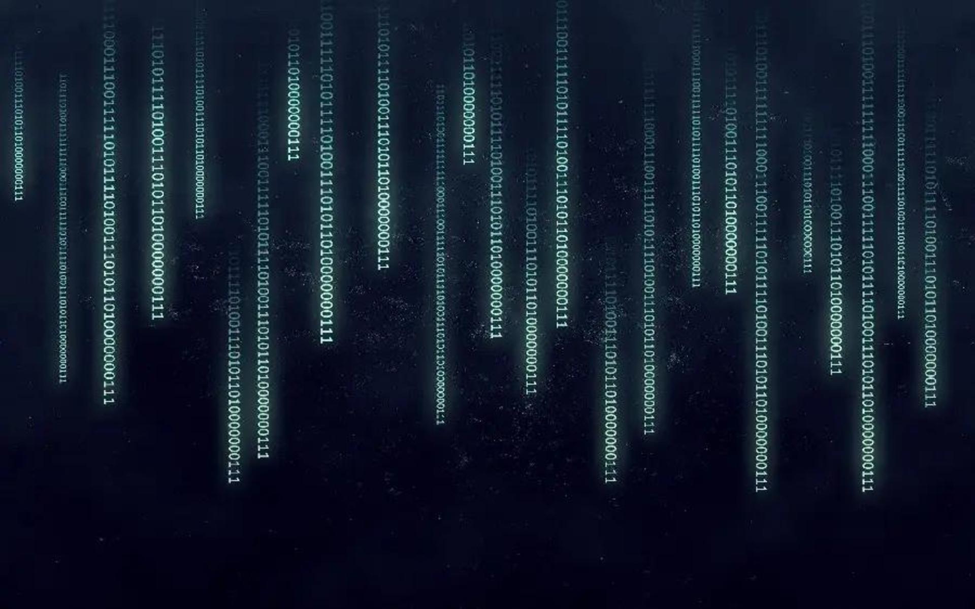 profile header