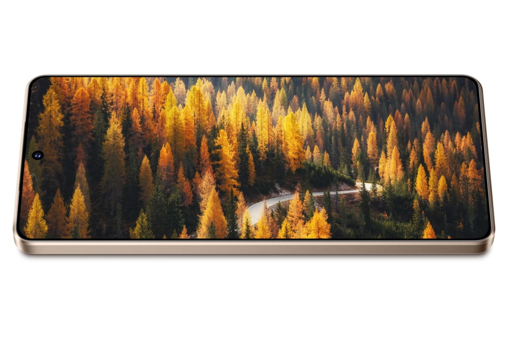 پنل جلو و صفحه نمایش گوشی موبایل ویوو vivo Y300 GT طلایی