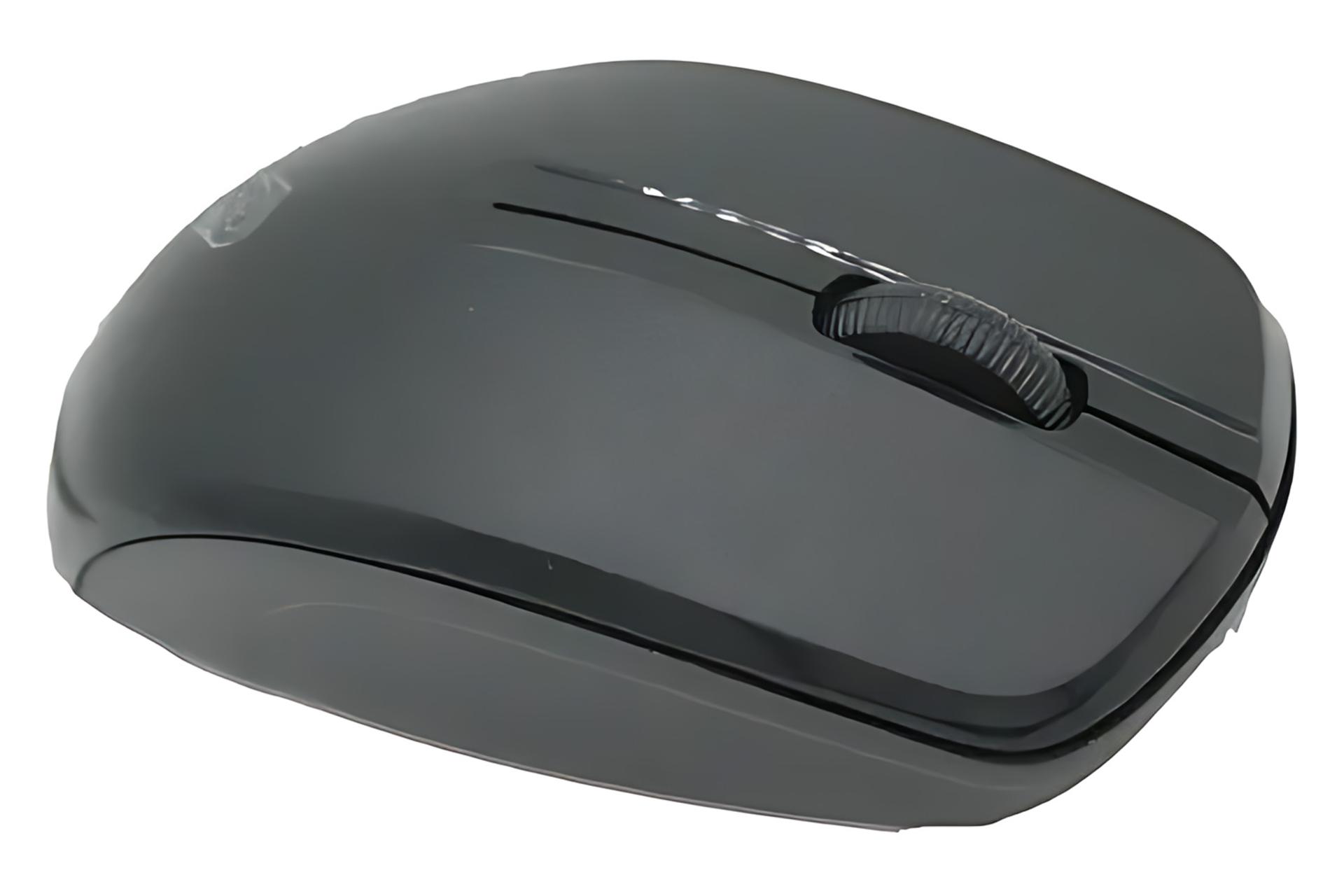 نمای کناری ماوس ریزیو RIZYUE T11