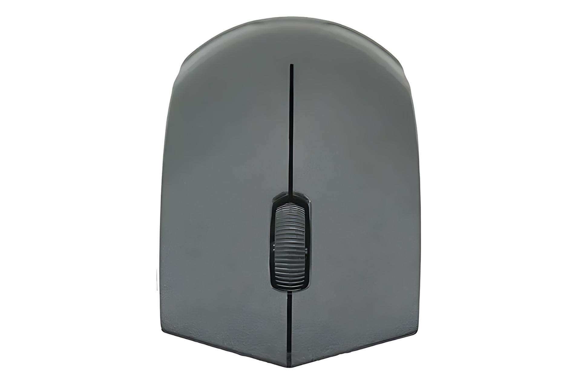 نمای جلوی ماوس ریزیو RIZYUE T12