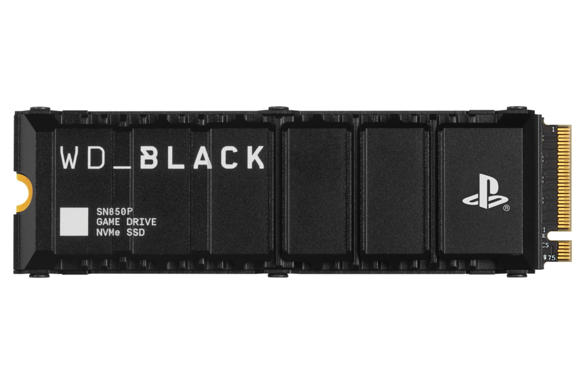 اس اس دی وسترن دیجیتال Black SN850P NVMe M.2 