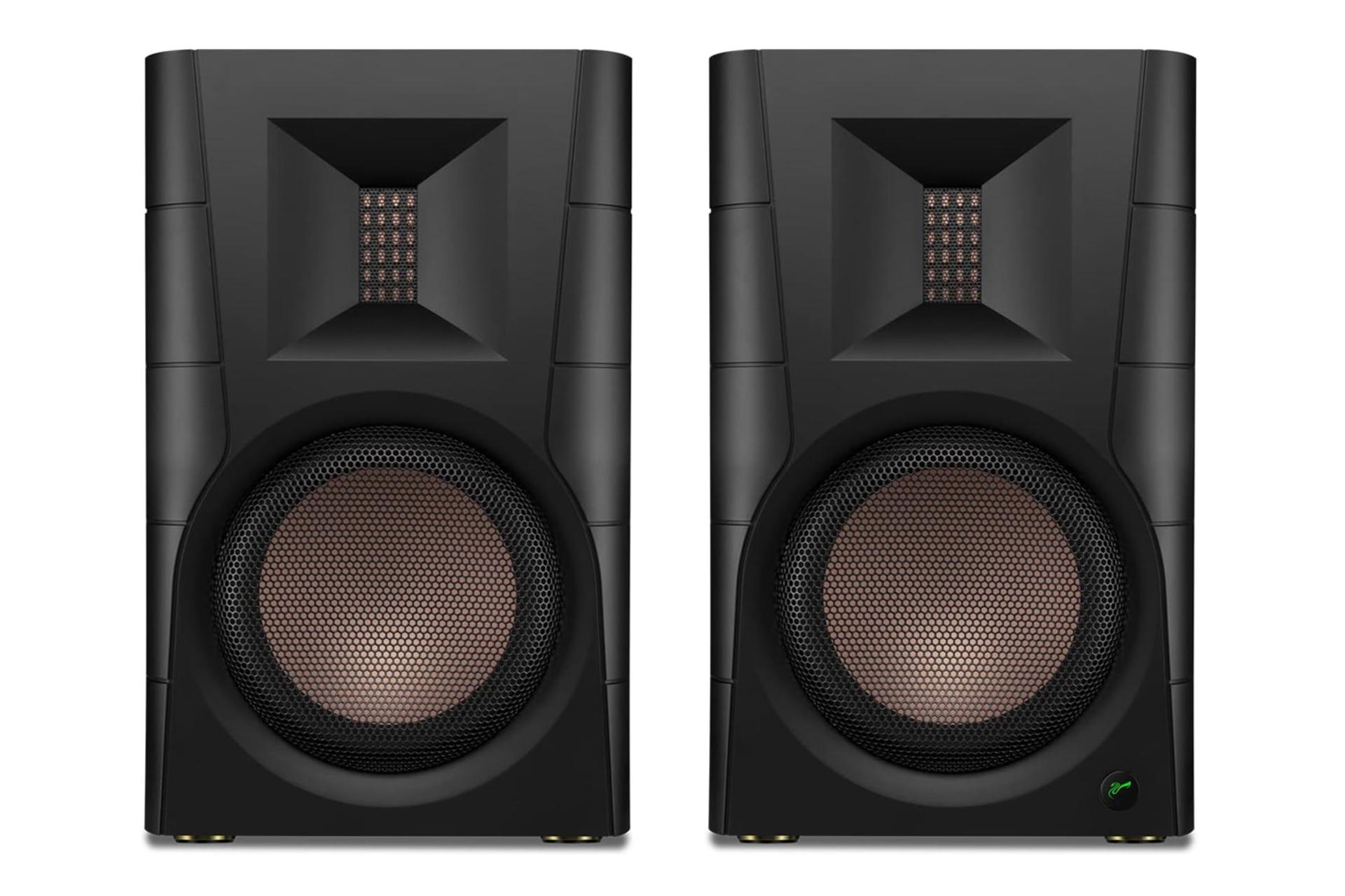 اسپیکر سوان D300 نمای جلو