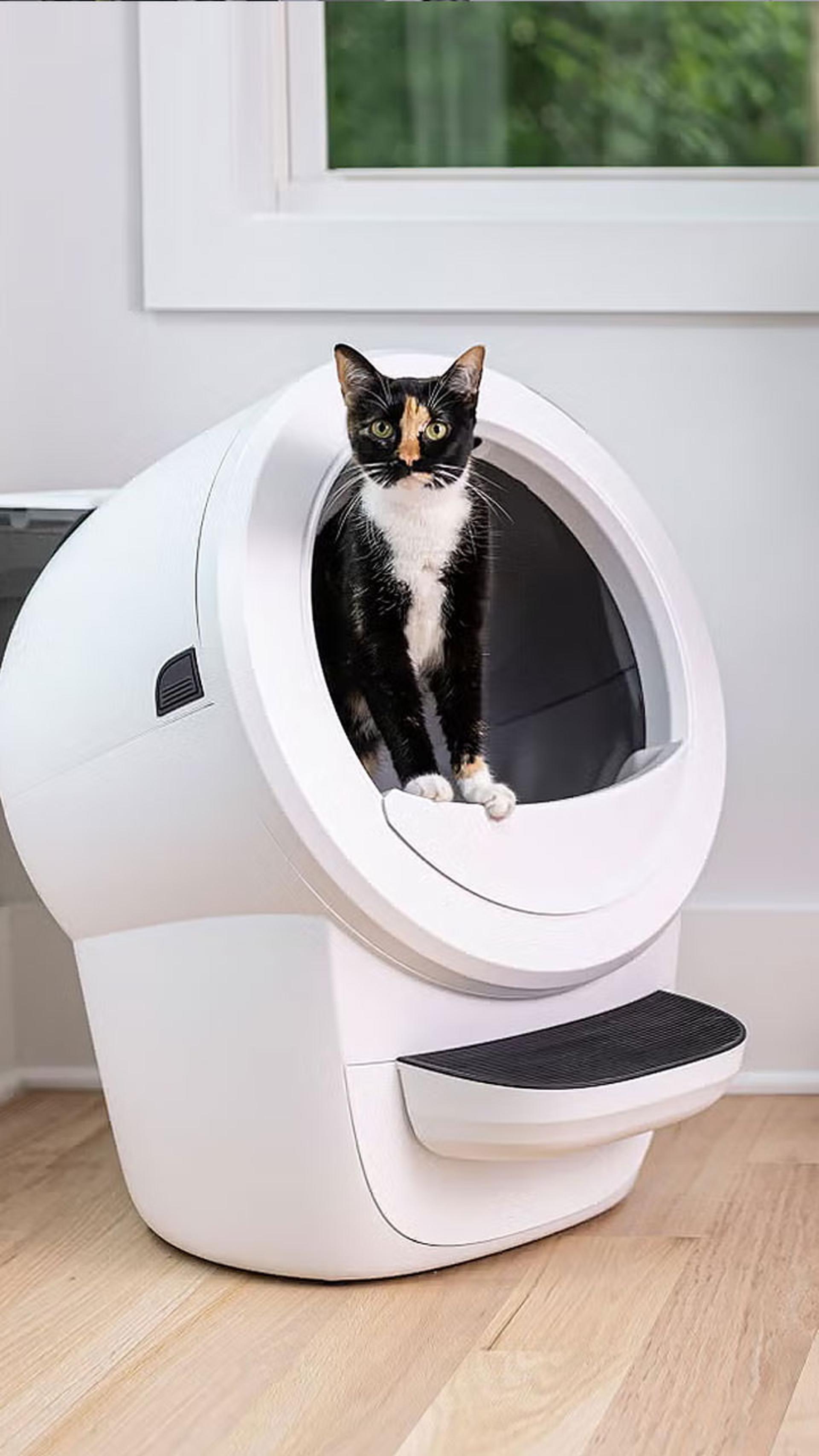 دستشویی هوشمند گربه‌ها