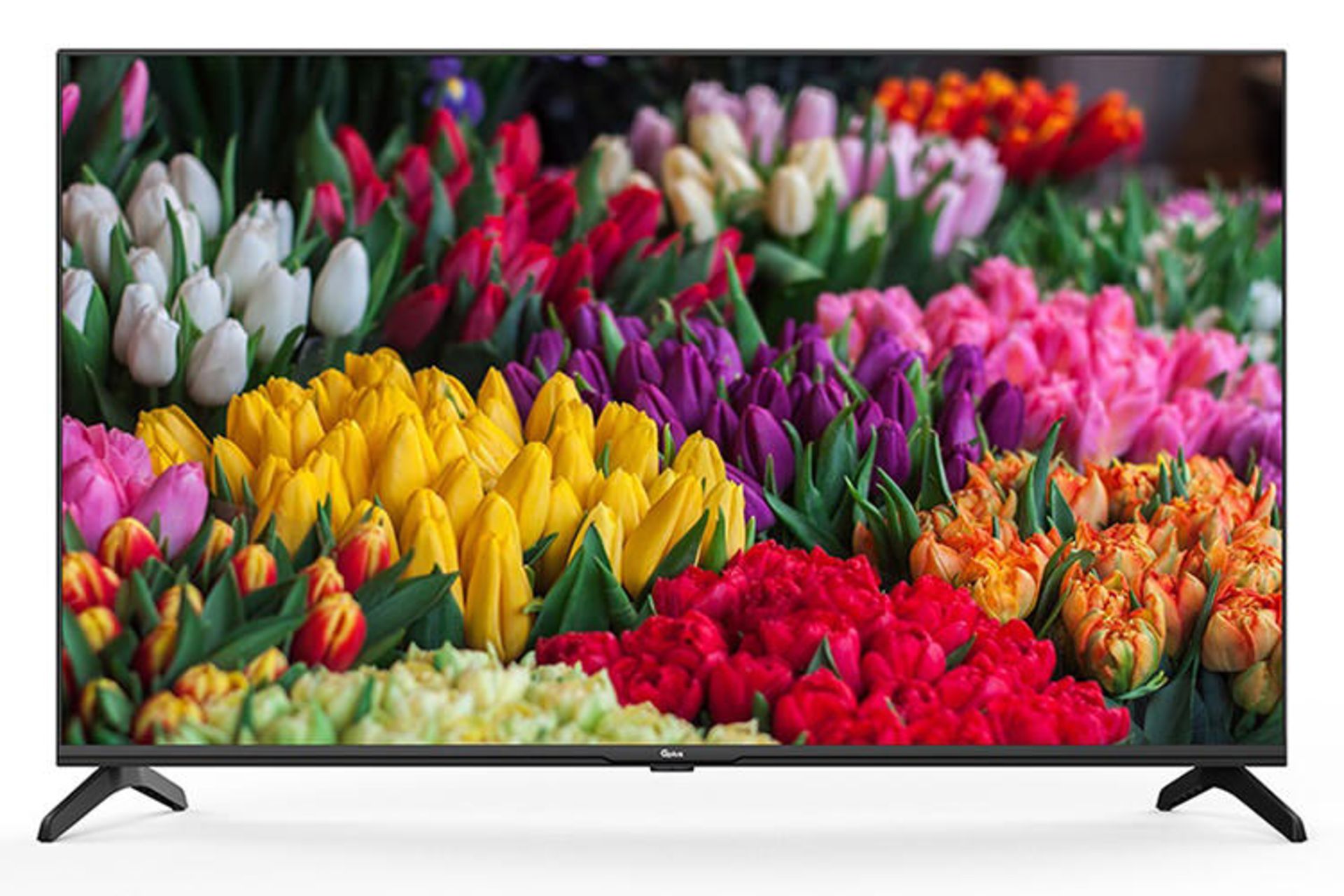 تلویزیون جی پلاس Gplus GTV-43SH638N نمای جلو