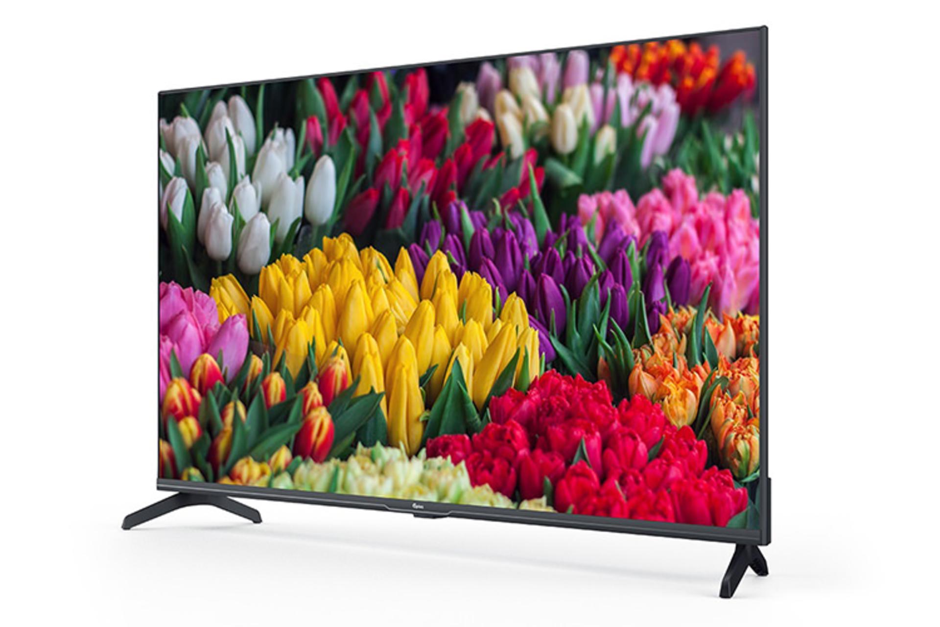 تلویزیون جی پلاس Gplus GTV-43SH638N نمای جلو و راست