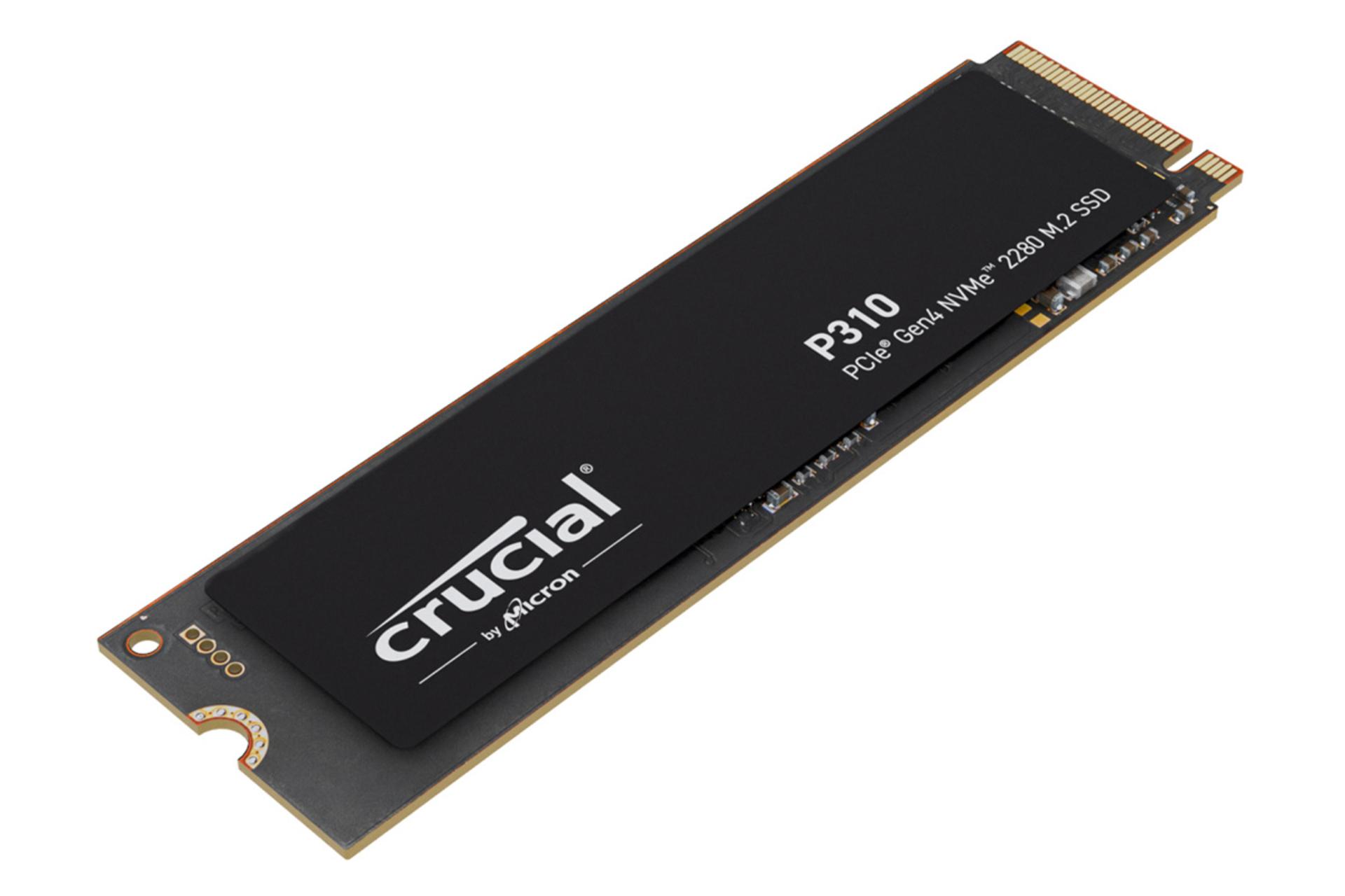 اس اس دی کروشیال P310 NVMe M.2 ظرفیت 1 ترابایت