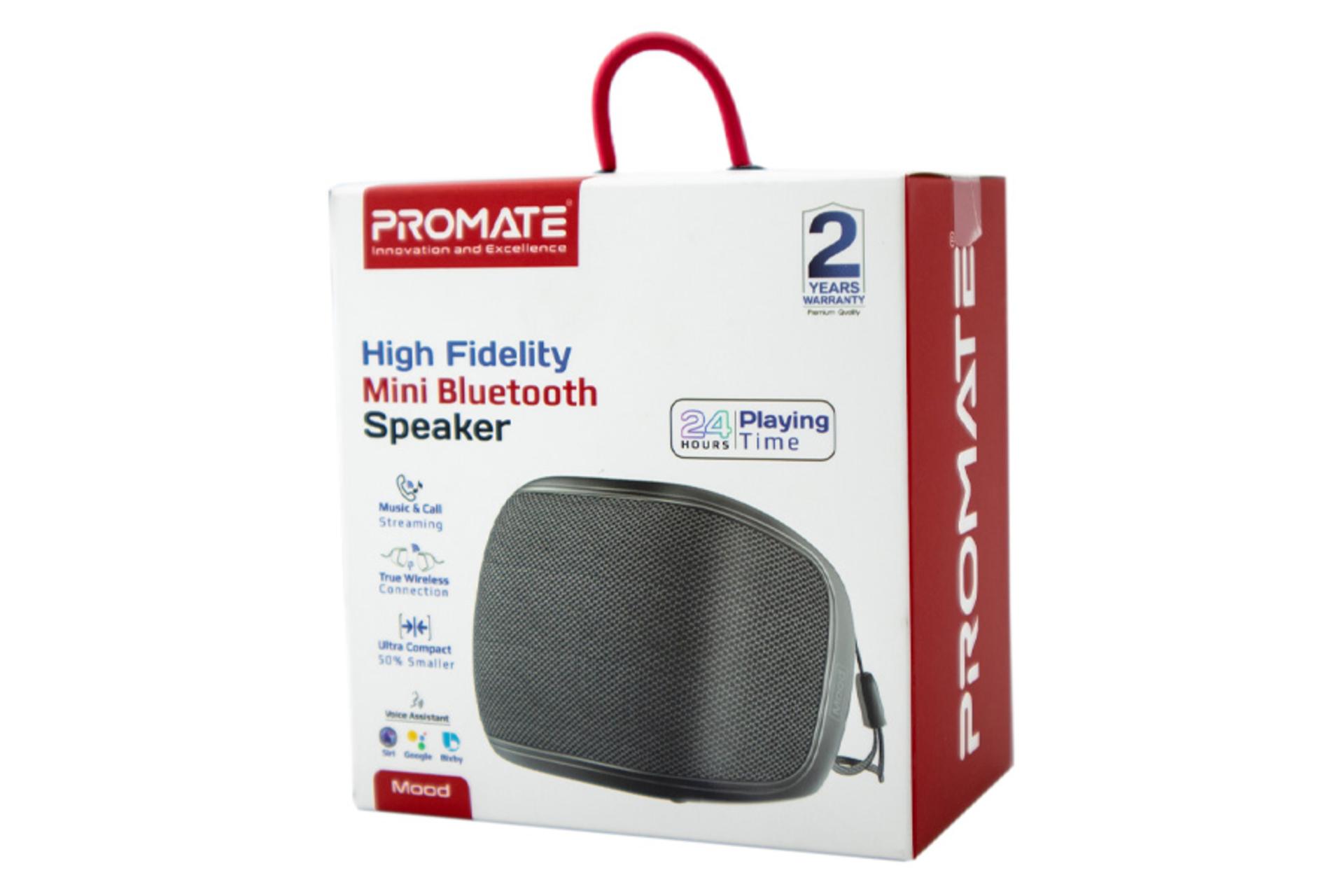 جعبه اسپیکر پرومیت Mood