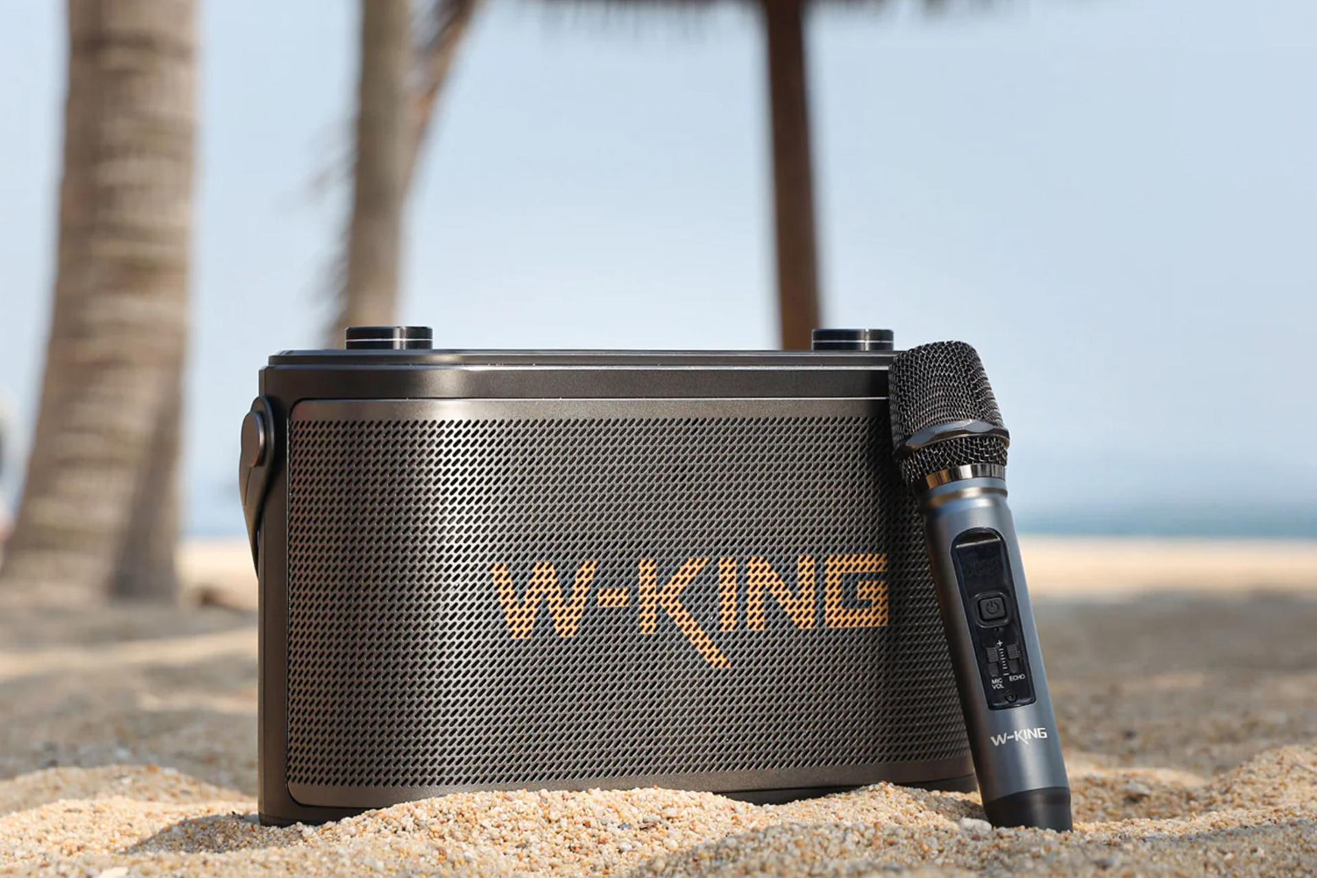 اسپیکر دبلیو کینگ H10S رنگ مشکی