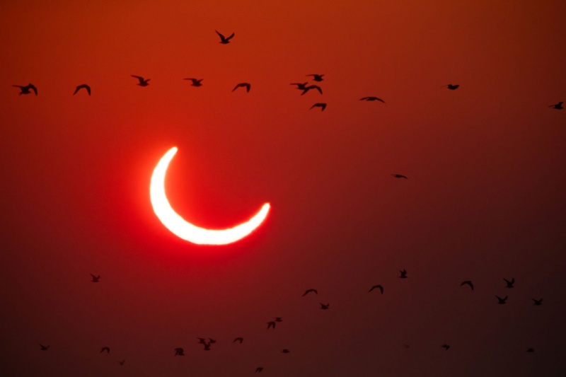 تصویر