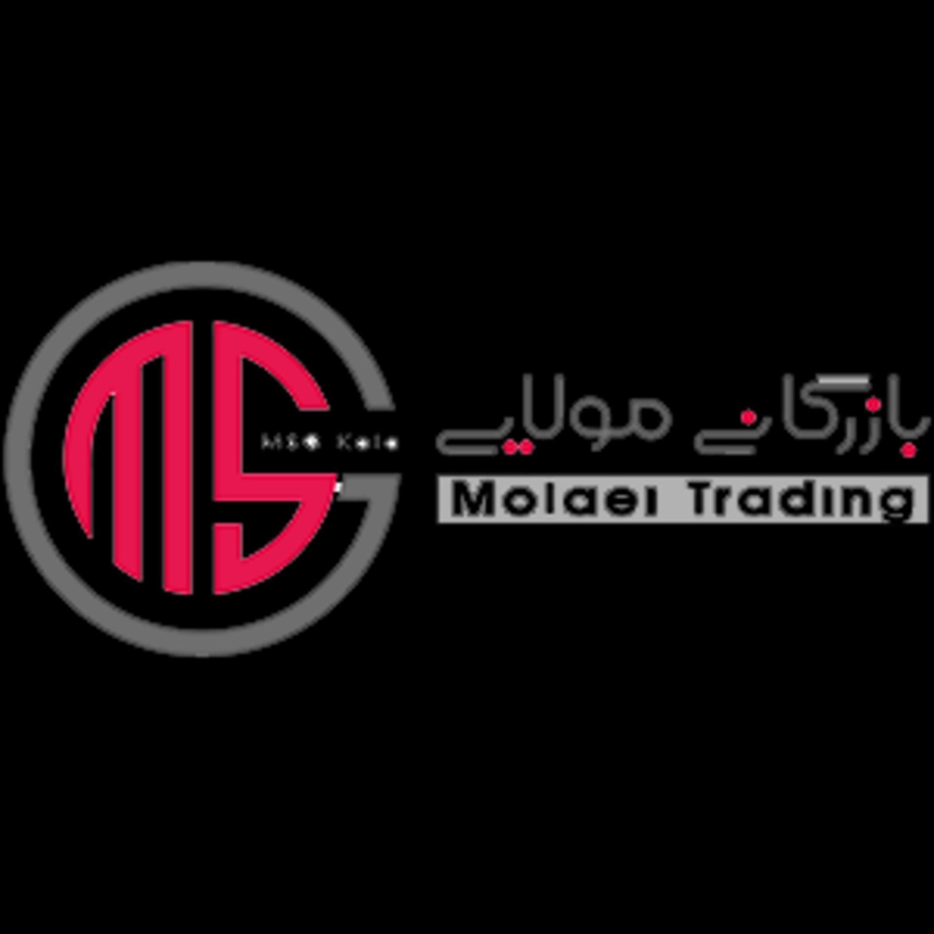 بازرگانی مولایی