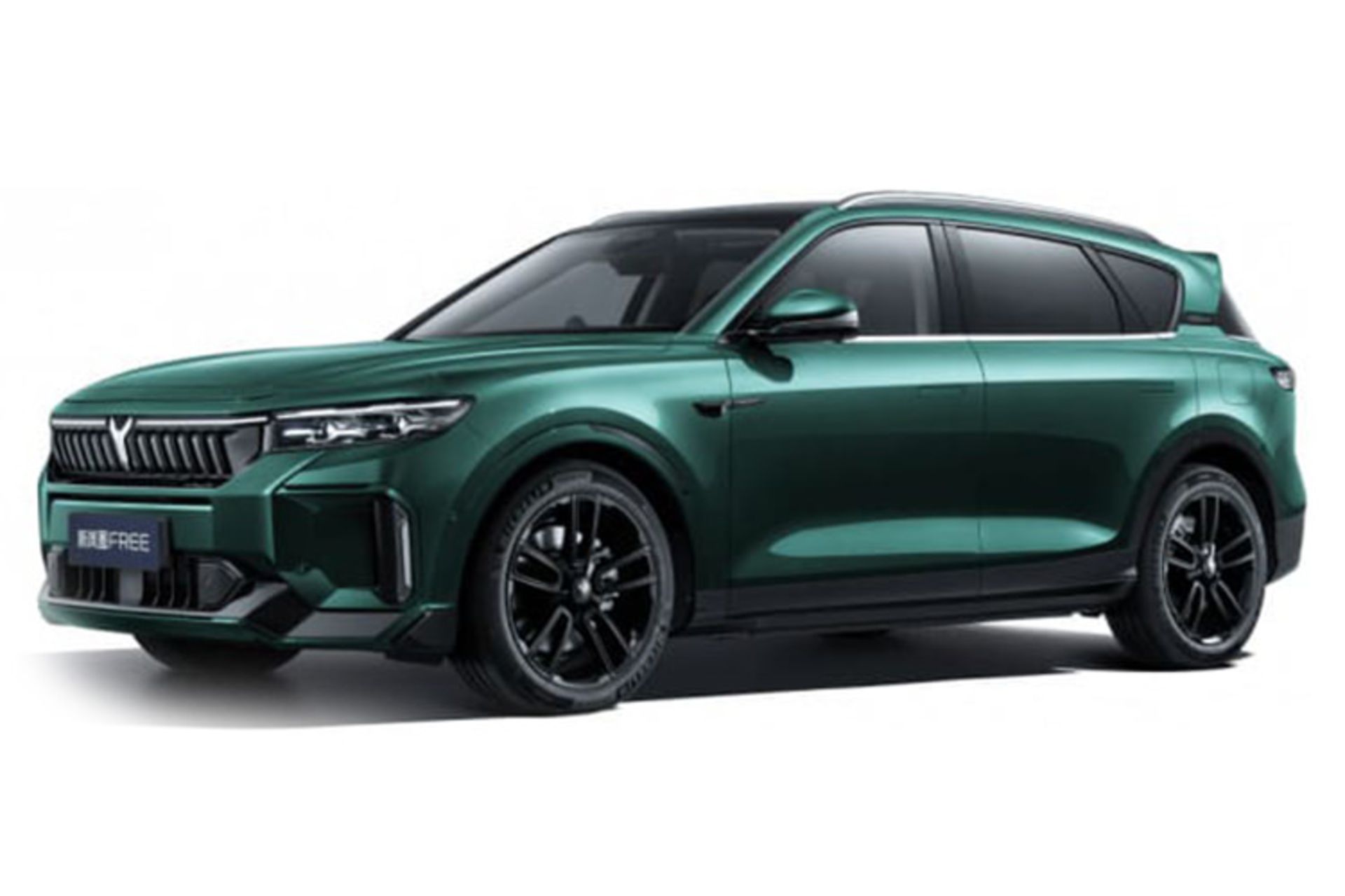 خودرو وویا فری Voyah Free 2025 رنگ سبز