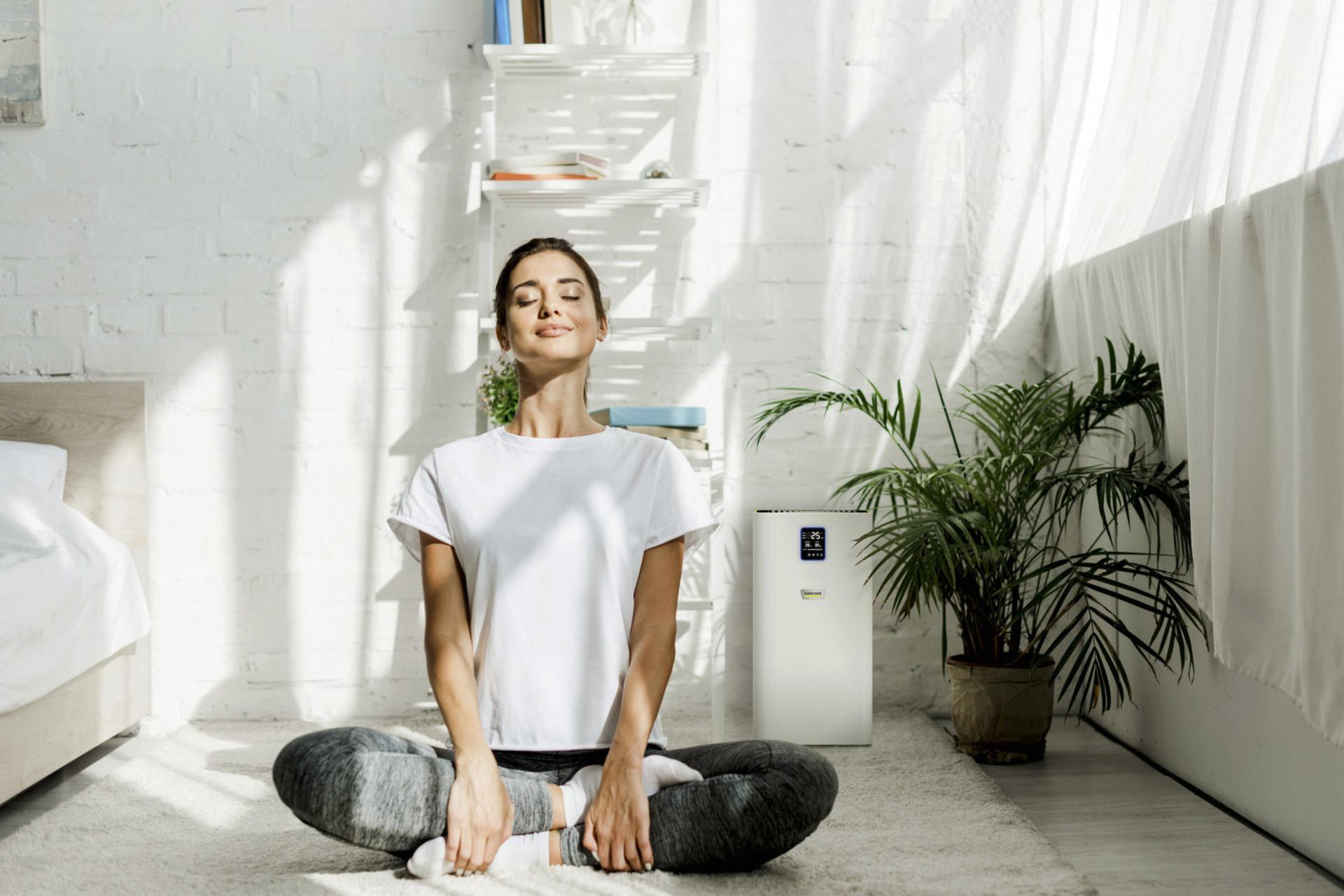 دستگاه تصفیه هوا کارچر AF 30