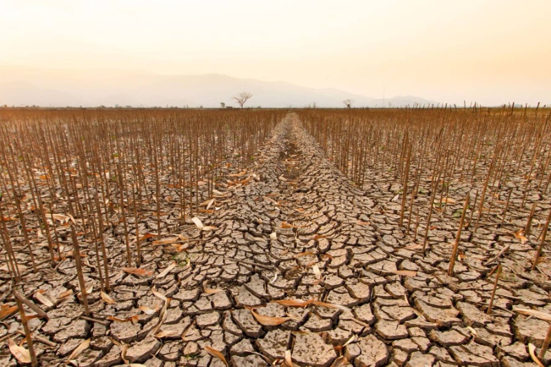 از خشکسالی تا سیلاب؛ کشورهای عربی زیر فشار سنگین گرمایش زمین هستند
