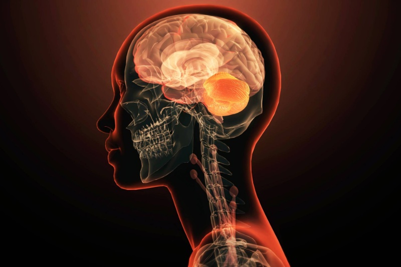 برای نخستین‌بار یک ژن واحد به‌تنهایی عامل بیماری روانی شناخته شد