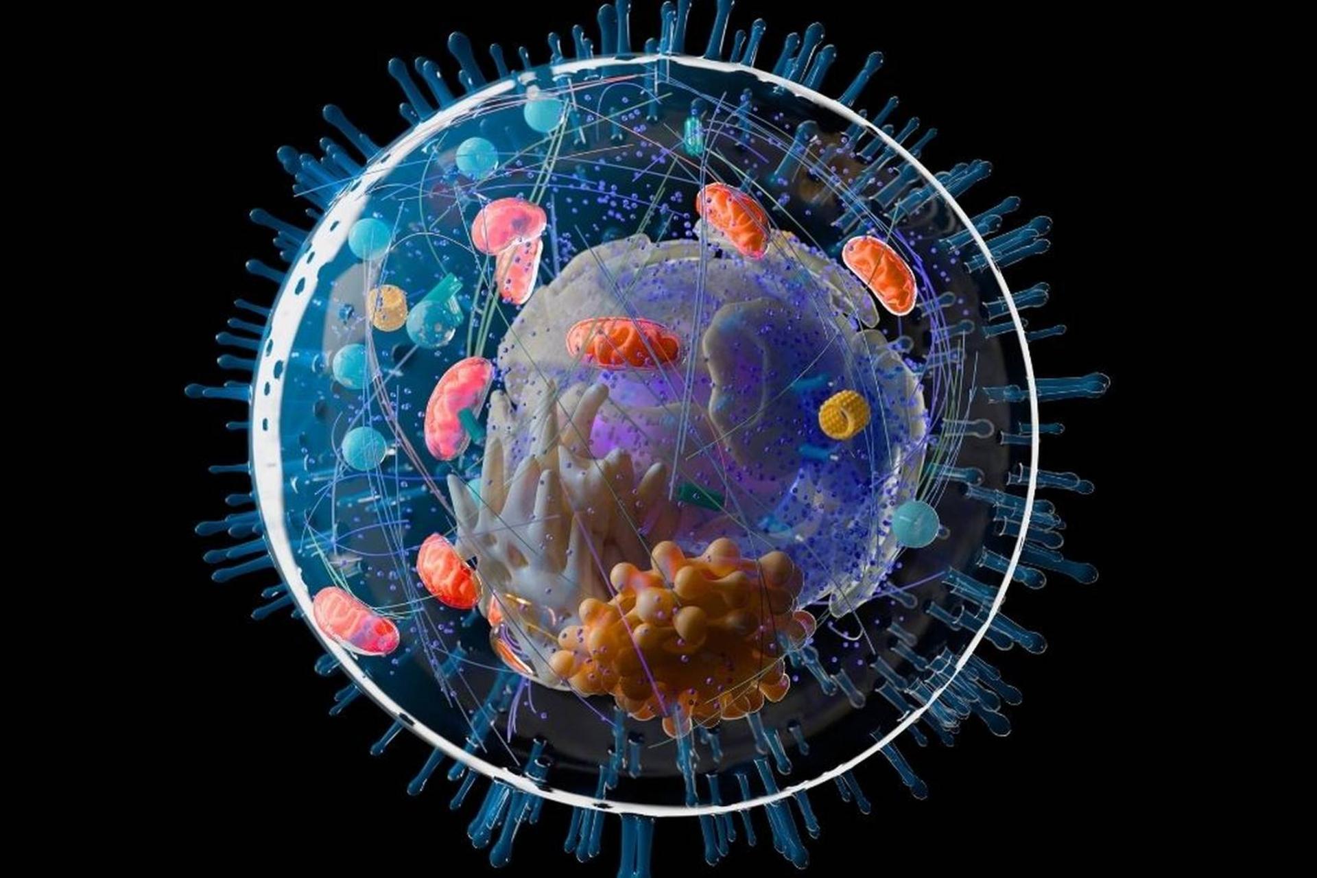 تصویرسازی از اشکال حیات پیچیده