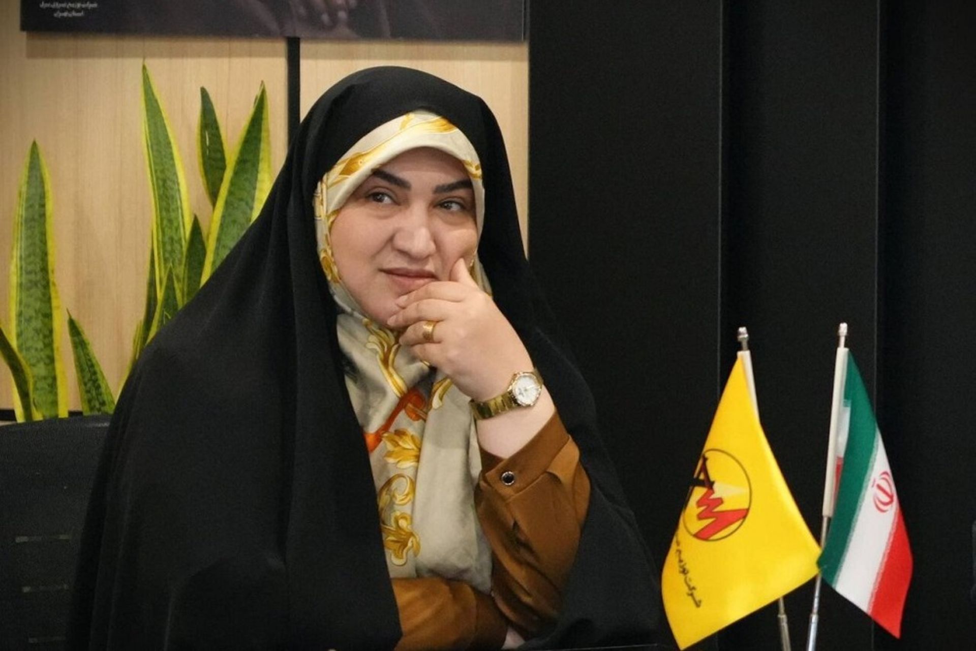  سمیه رفیعی، رئیس فراکسیون محیط زیست مجلس