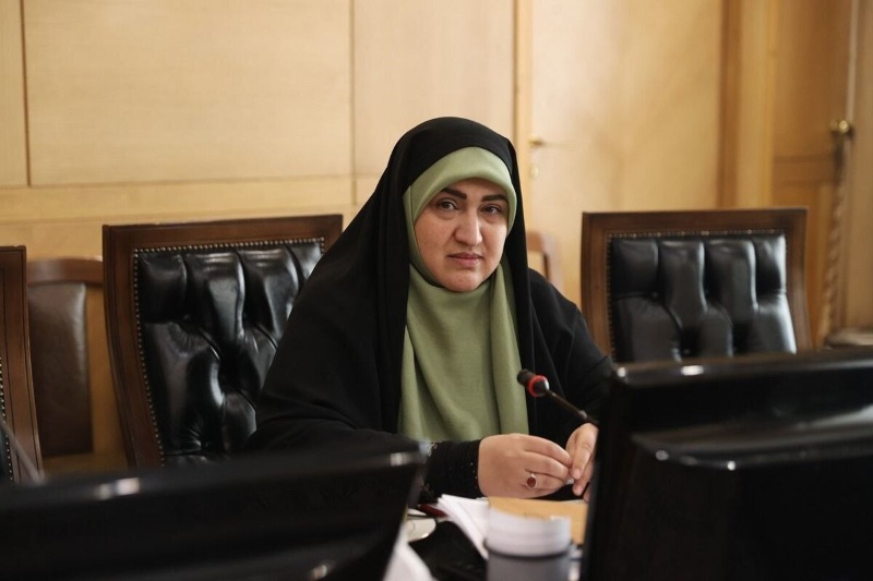 رئیس فراکسیون محیط زیست مجلس: قوانین «هوای پاک» روی طاقچه خاک می‌خورد