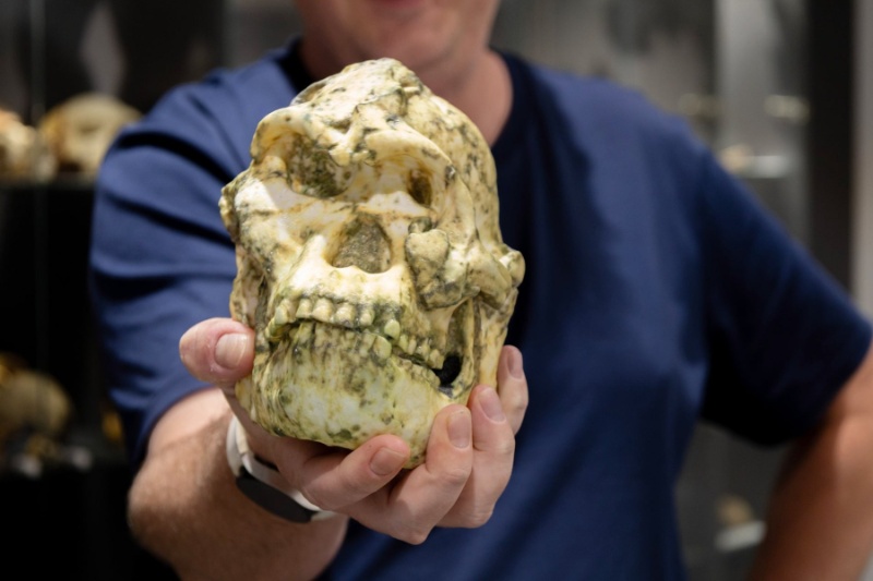 کشف شاخه‌ای گمشده در درخت خانواده انسان: «پا کوچک» دقیقا کیست؟