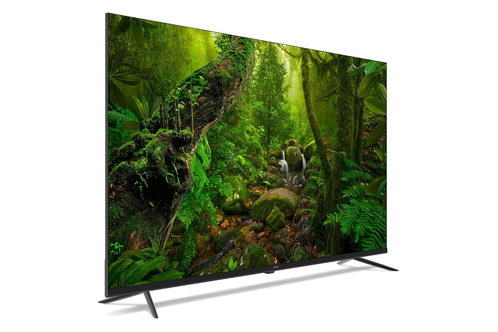 نمای کنار تلویزیون فیلیپس PQT8169 