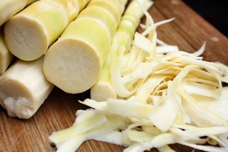 ابرغذای غیرمنتظره برای انسان؛ بامبو فقط خوراکی پانداها نیست